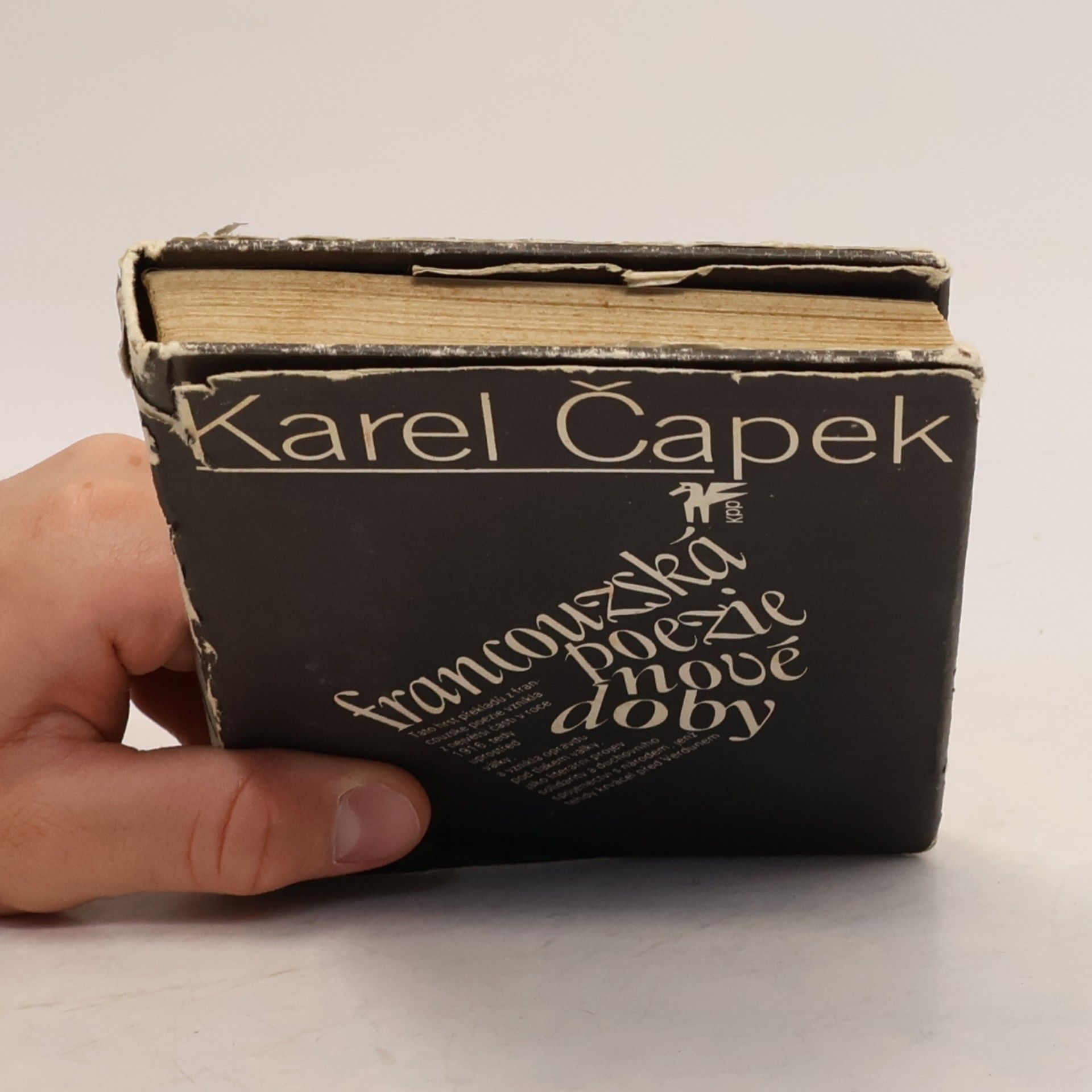 Karel Čapek Francouzská poezie nové doby