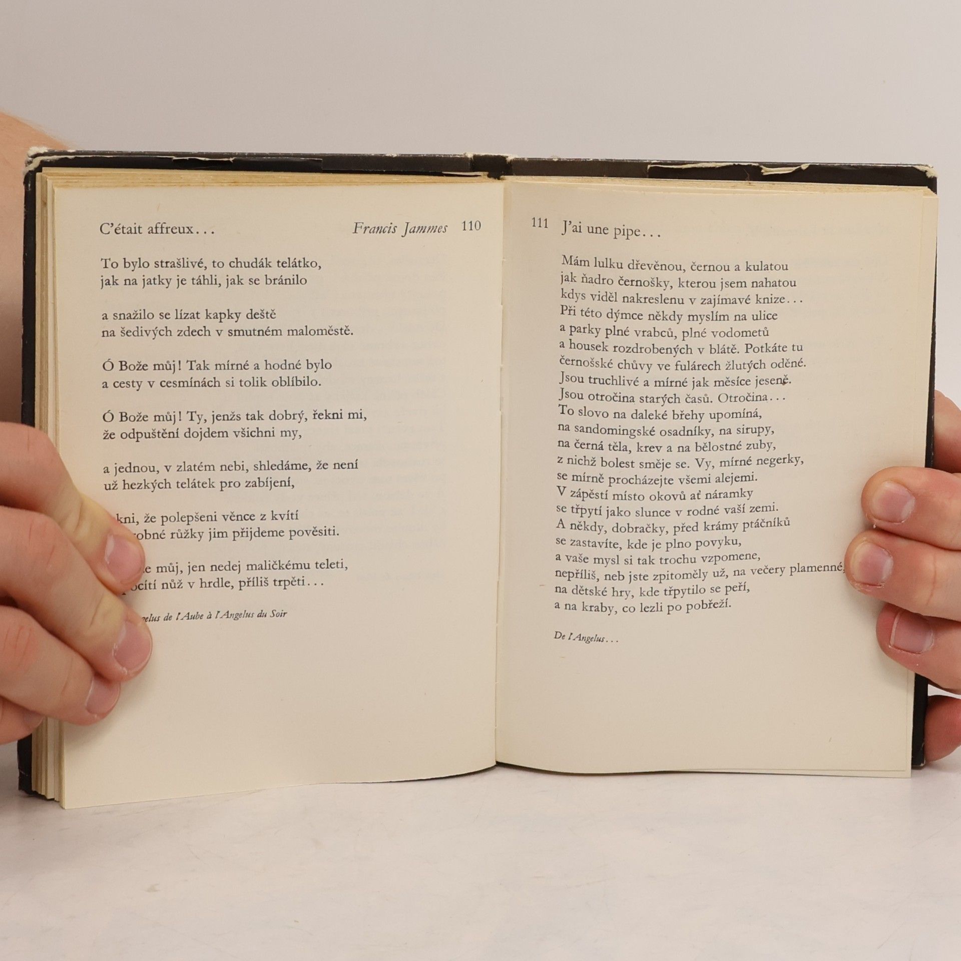 Karel Čapek Francouzská poezie nové doby