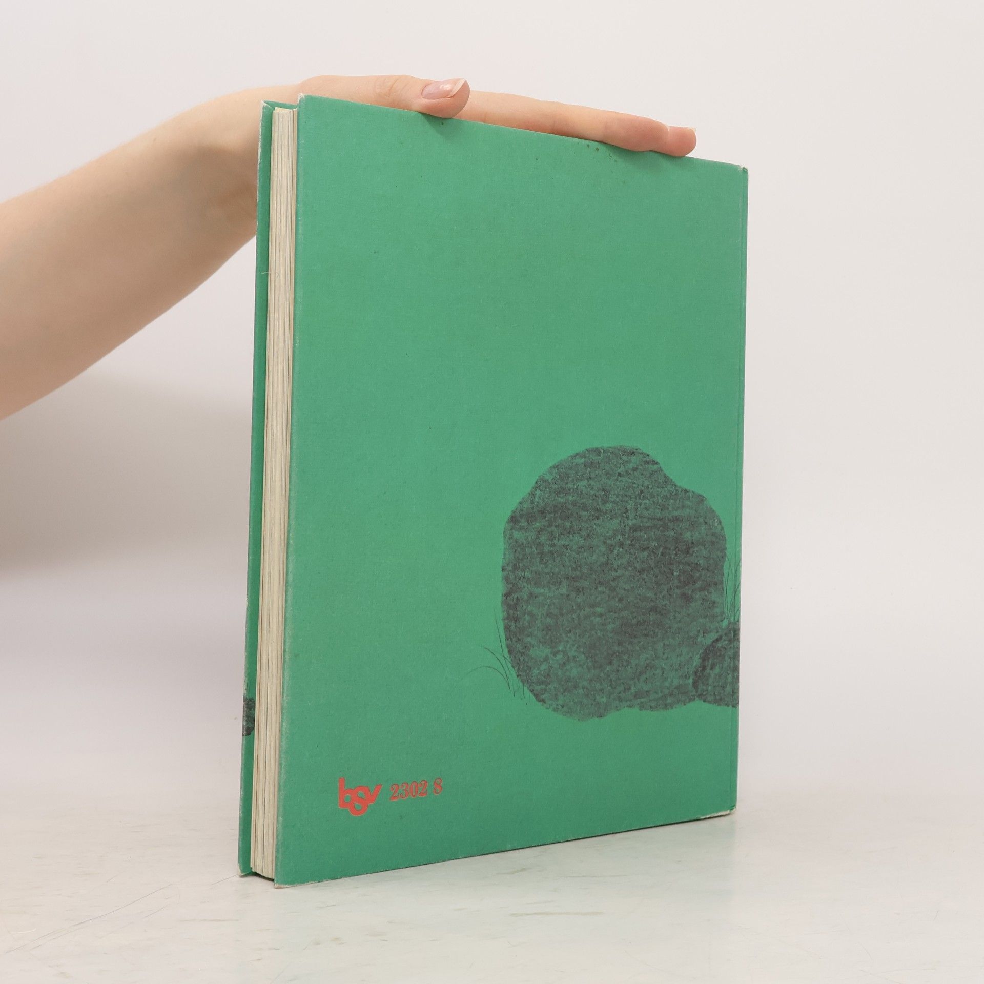 Erika Zahn Mein Lesebuch 2 Ausgabe B