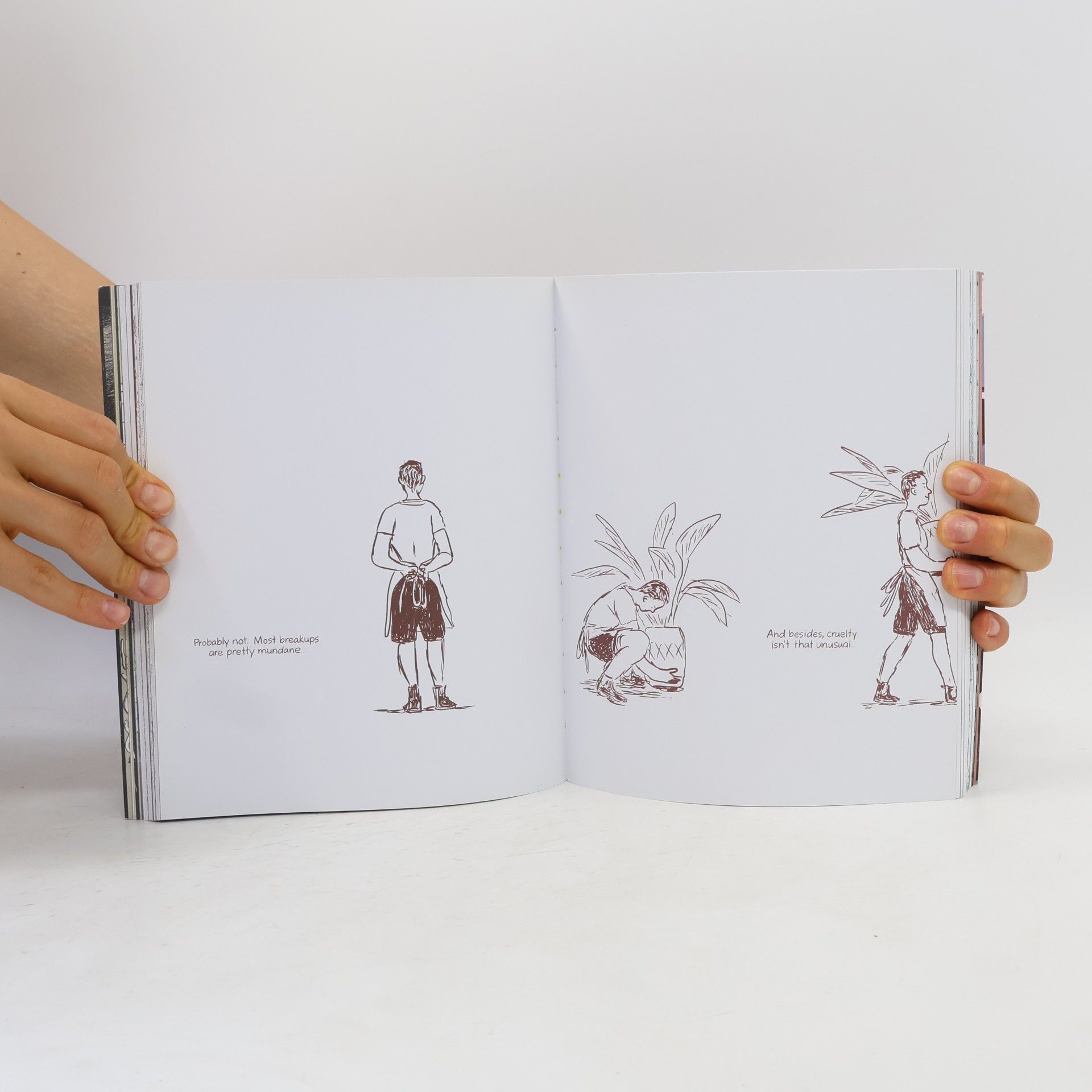 Jillian Tamaki Boundless