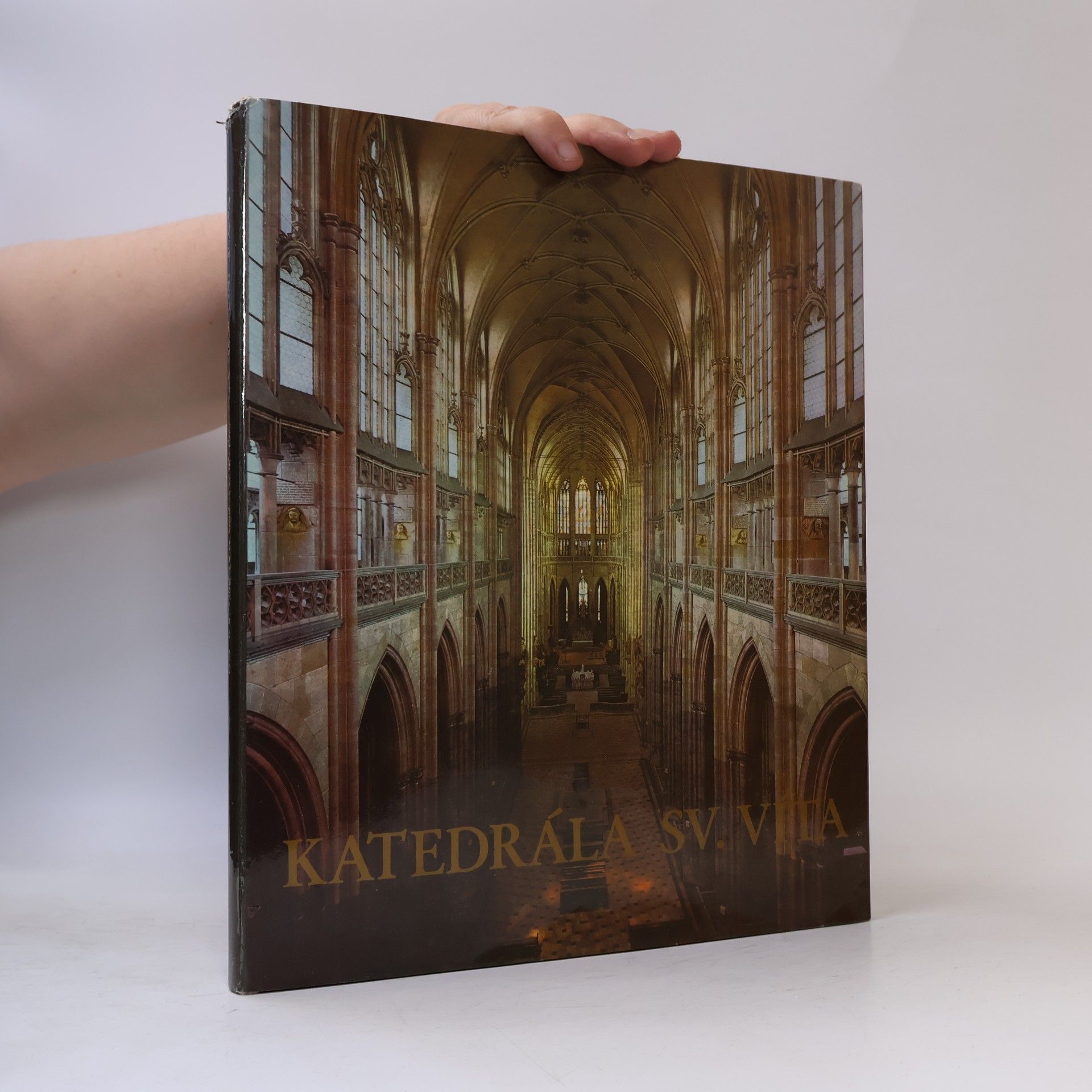 Jiří Burian Katedrála sv. Víta