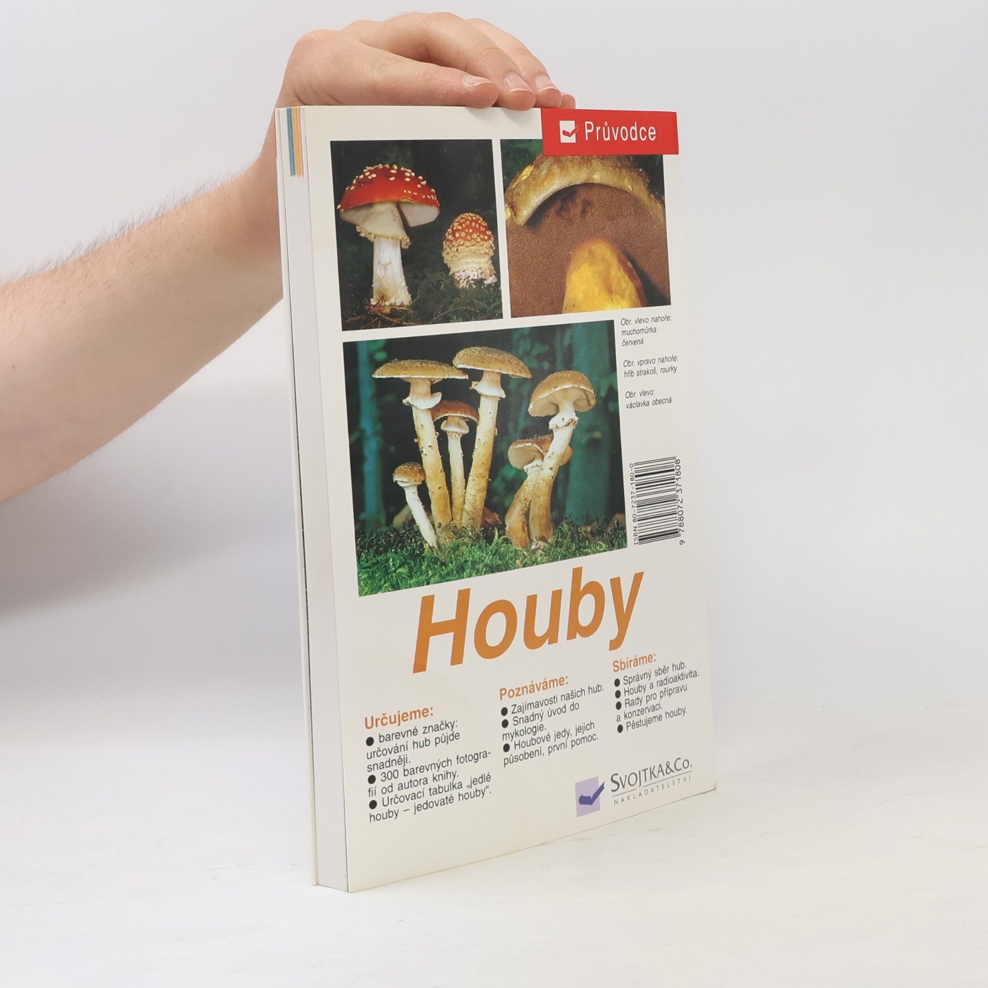 Edmund Garnweidner Houby: Jedlé houby, jejich jedovatí dvojníci a nejedlé houby ve střední Evropě : určování, poznávání, sbírání