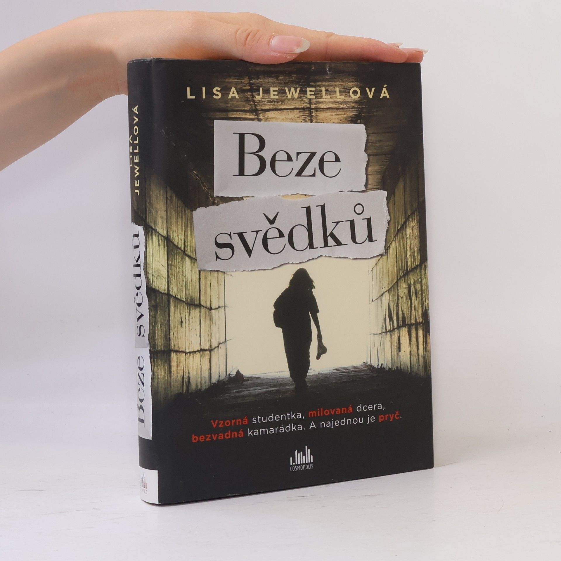 Lisa Jewell Beze svědků