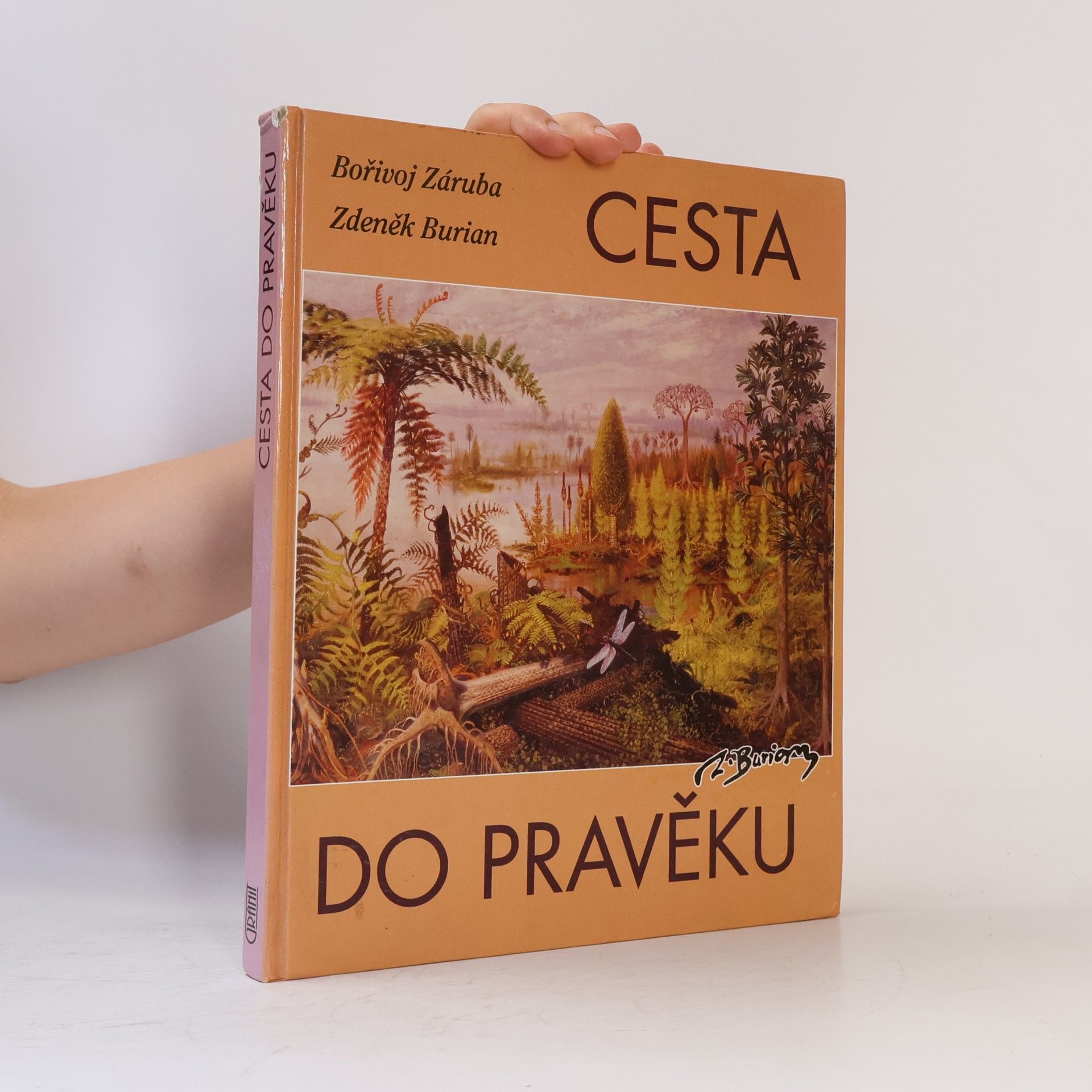 Bořivoj Záruba Cesta do pravěku