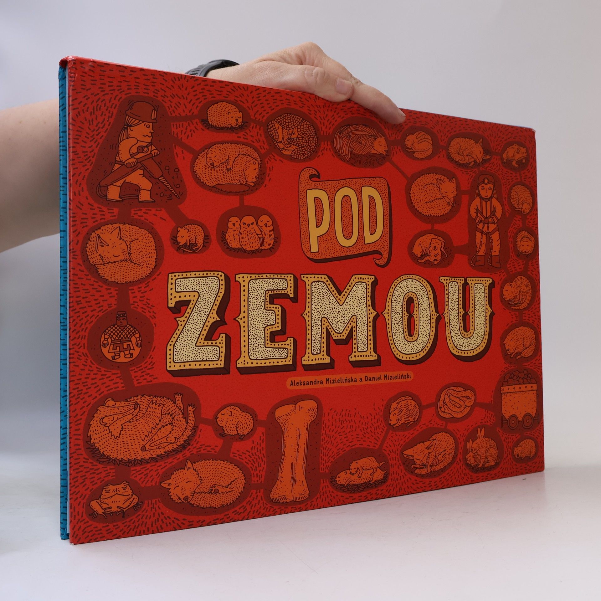 Aleksandra Mizielińska Pod zemou / Pod vodou