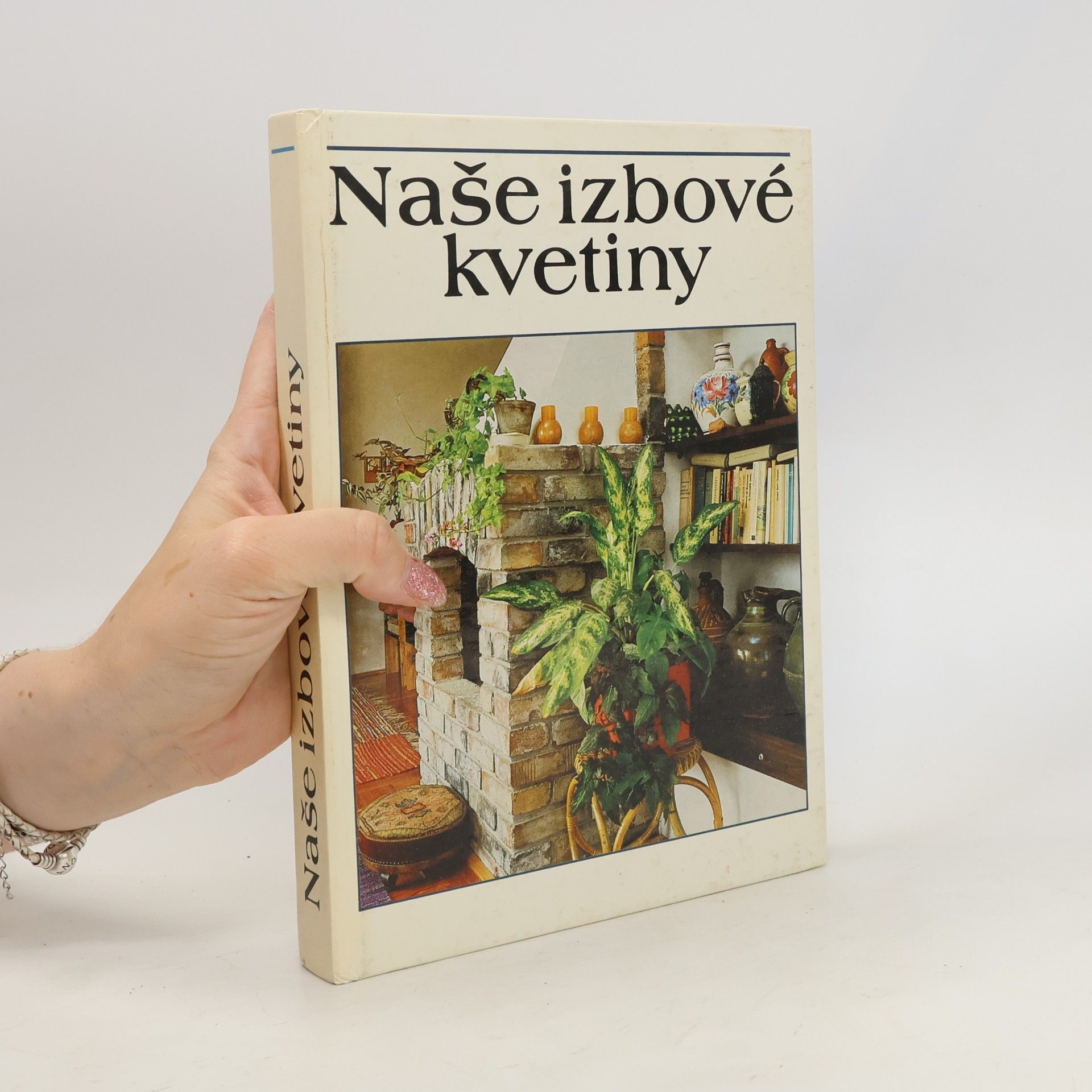 Lajos Lelkes Naše izbové kvetiny