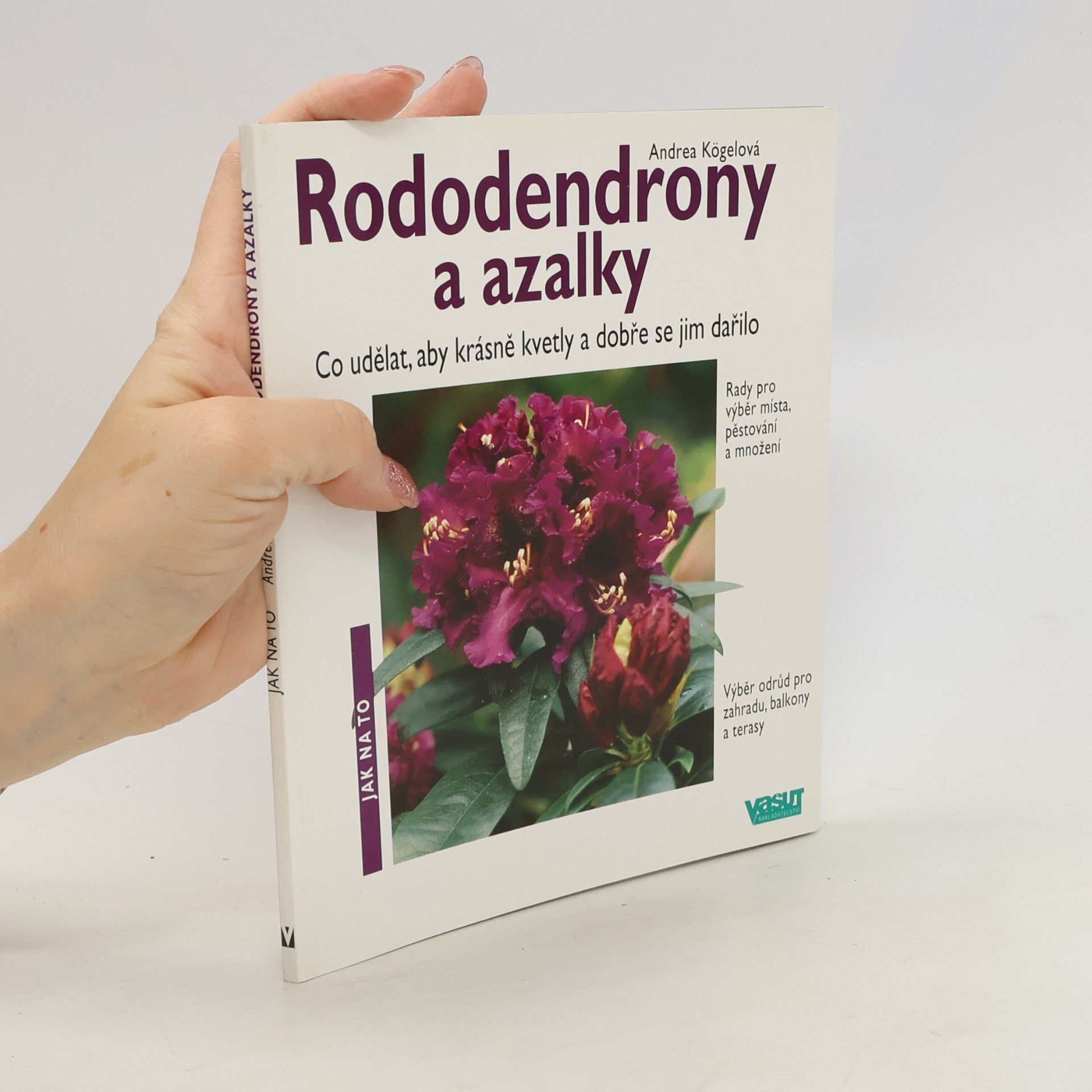 Andrea Kögel Rododendrony a azalky