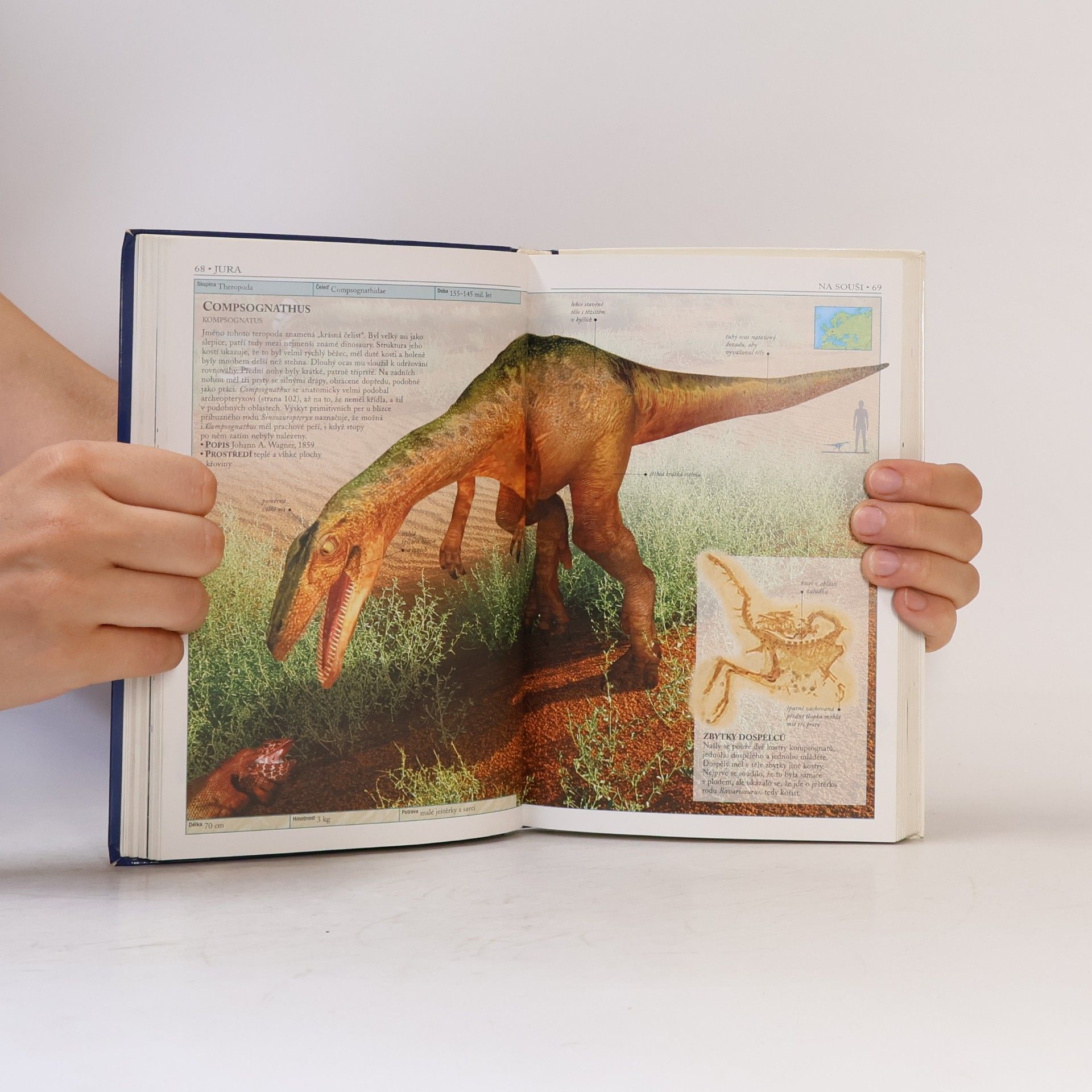 Hazel Richardson Dinosauři a život v pravěku