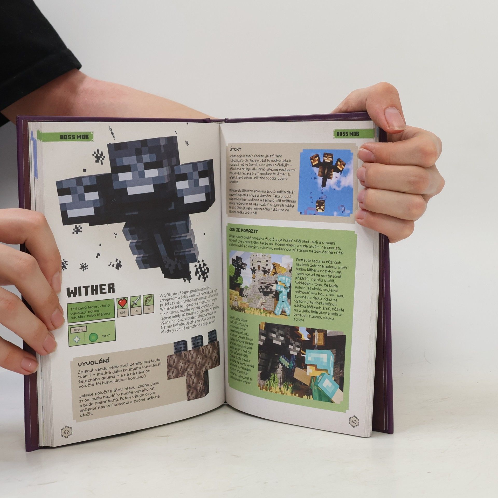 Autorenkollektiv Minecraft. Příručka bojovníka