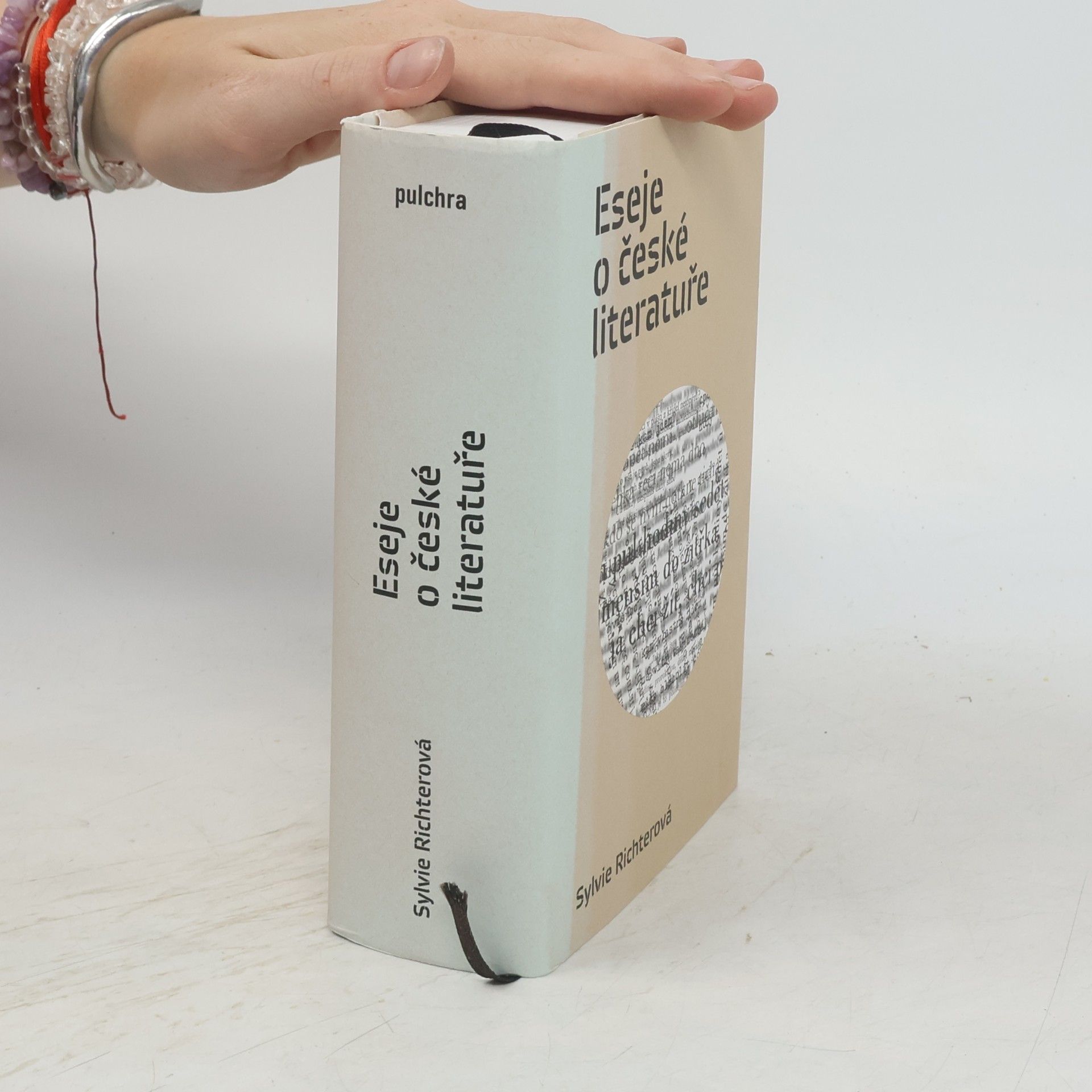 Sylvie Richterová Eseje o české literatuře
