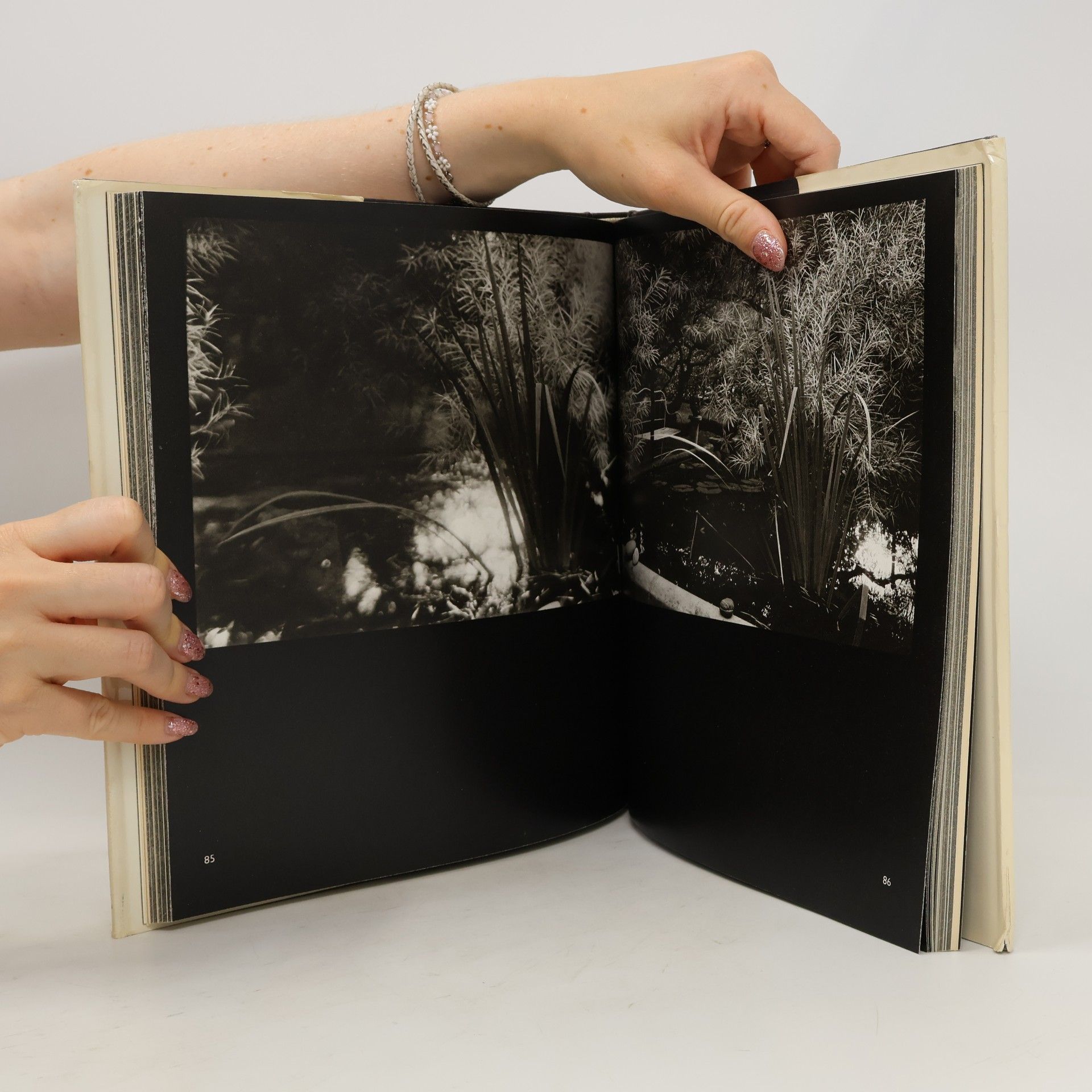Zdeněk Kirschner Josef Sudek