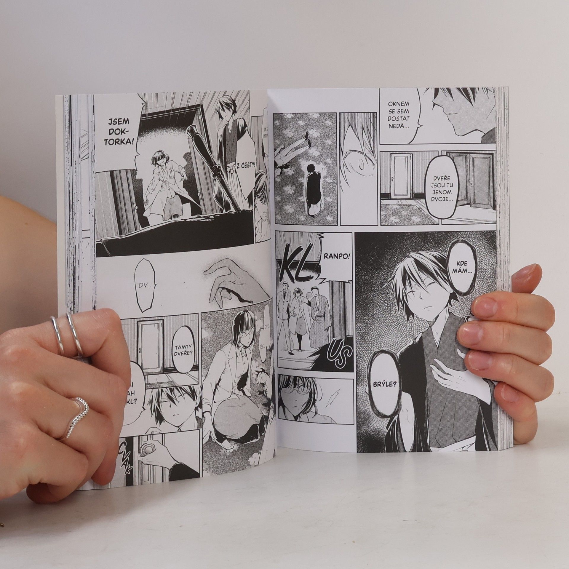 Kafka Asagiri Toulaví literáti 8