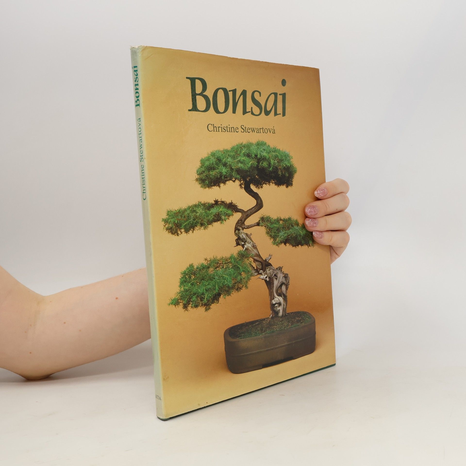Christine Stewart Bonsai
