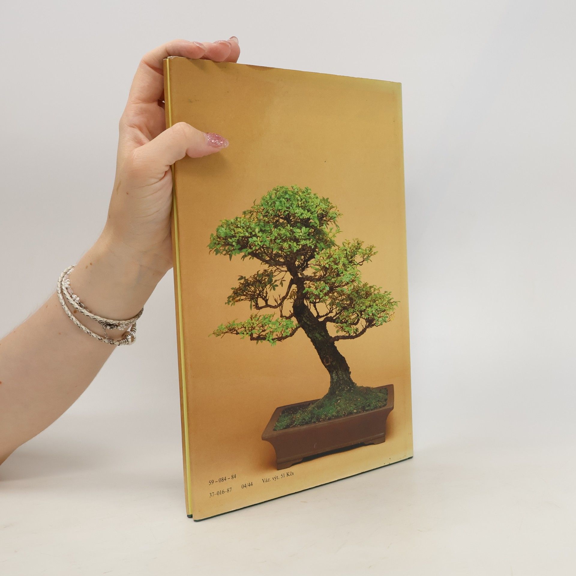 Christine Stewart Bonsai