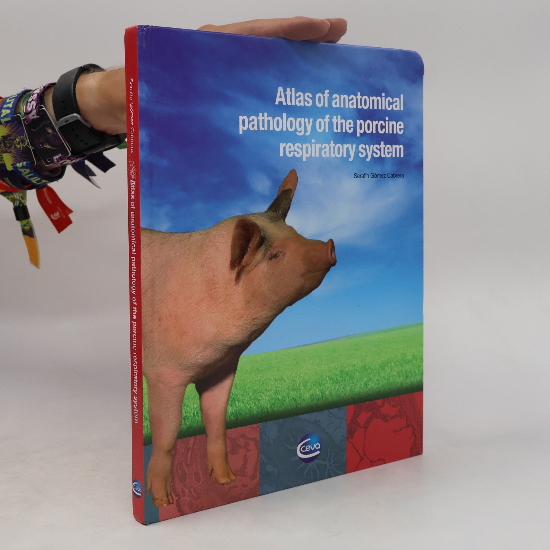 Serafín Gómez Cabrera Atlas of Anatomical Pathology of the Porcine Respiratory System
