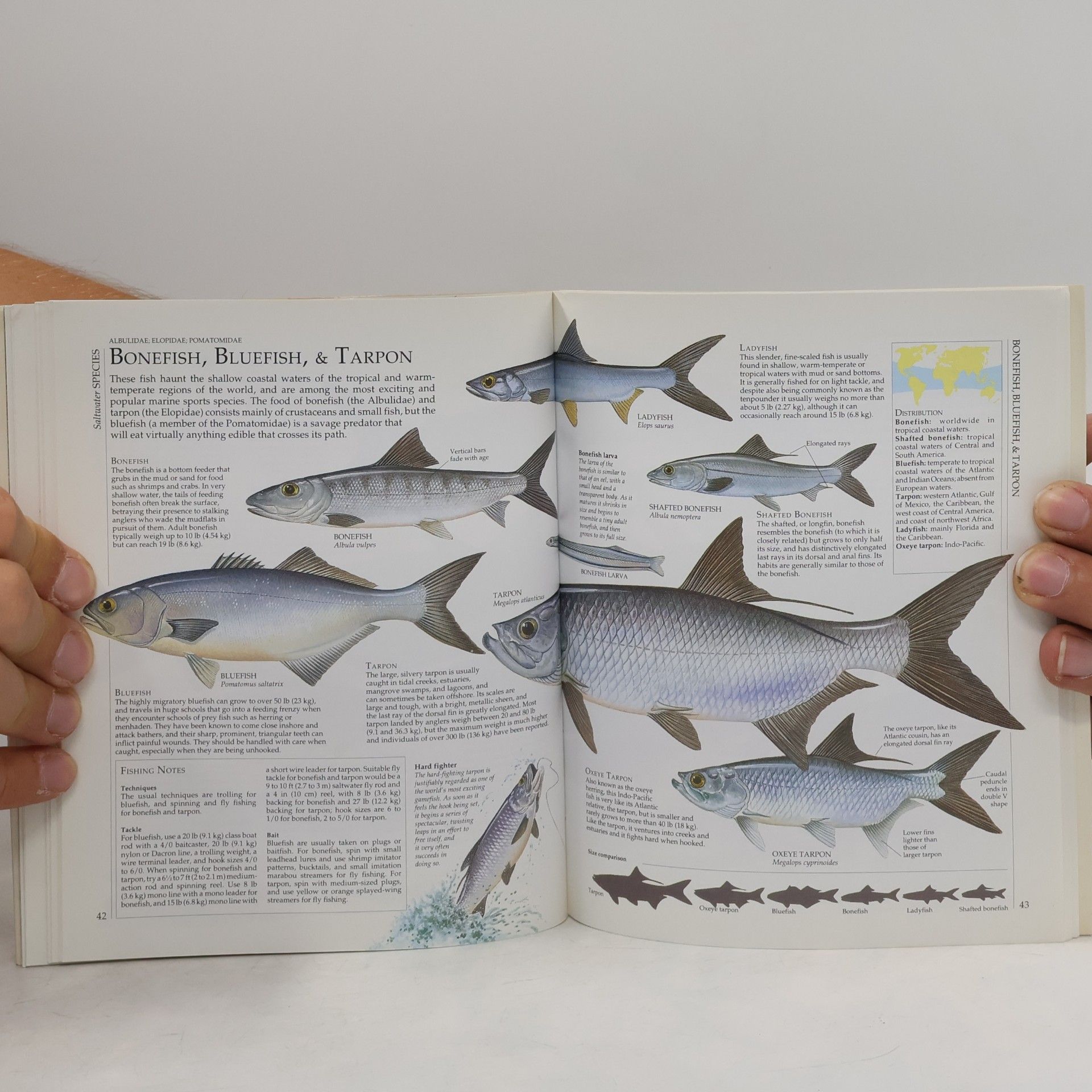 D.K. Publishing Angler's Guide to Fish