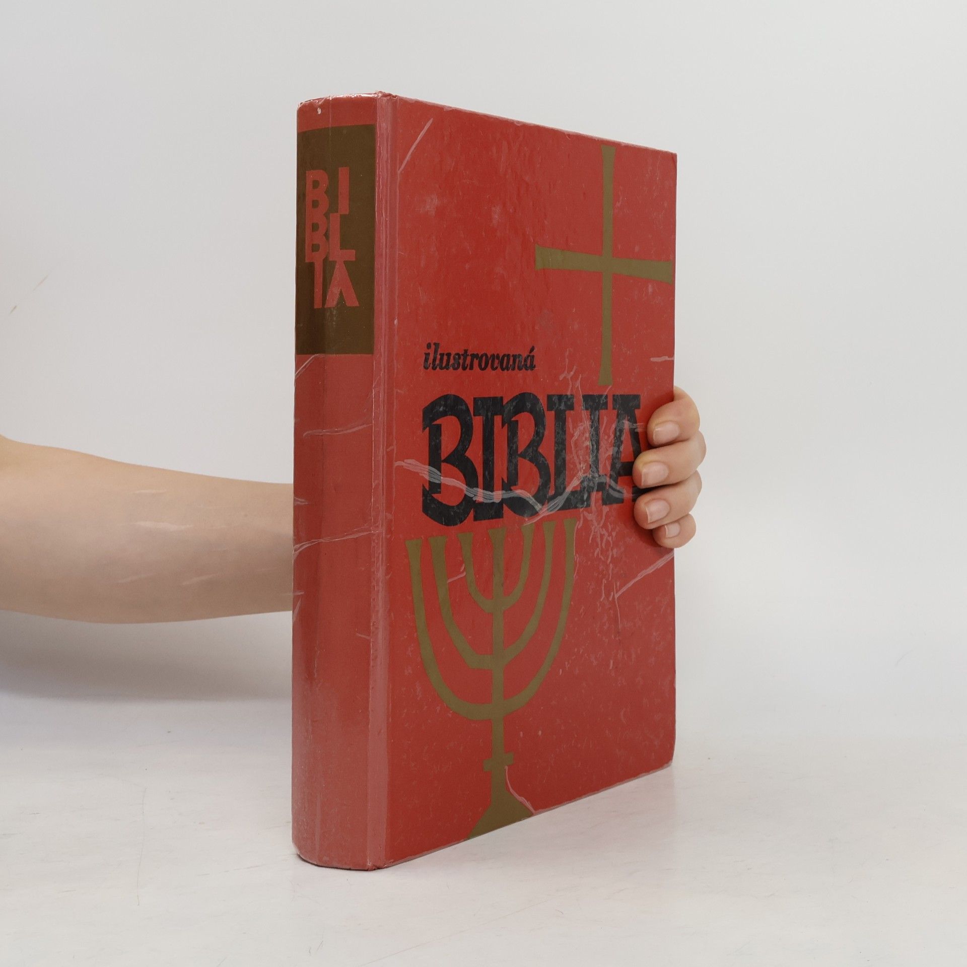 Autorenkollektiv Ilustrovaná biblia : Výber statí s farebnými obrázkami