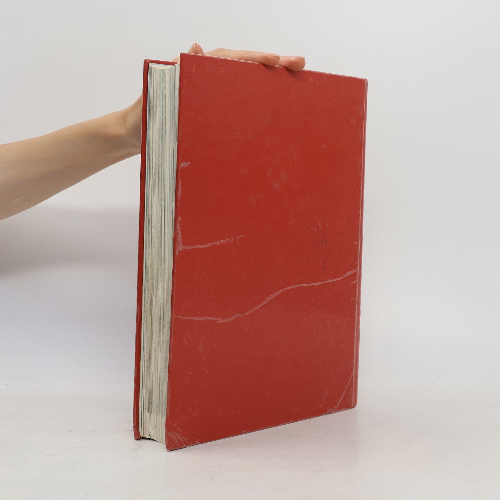 Autorenkollektiv Ilustrovaná biblia : Výber statí s farebnými obrázkami