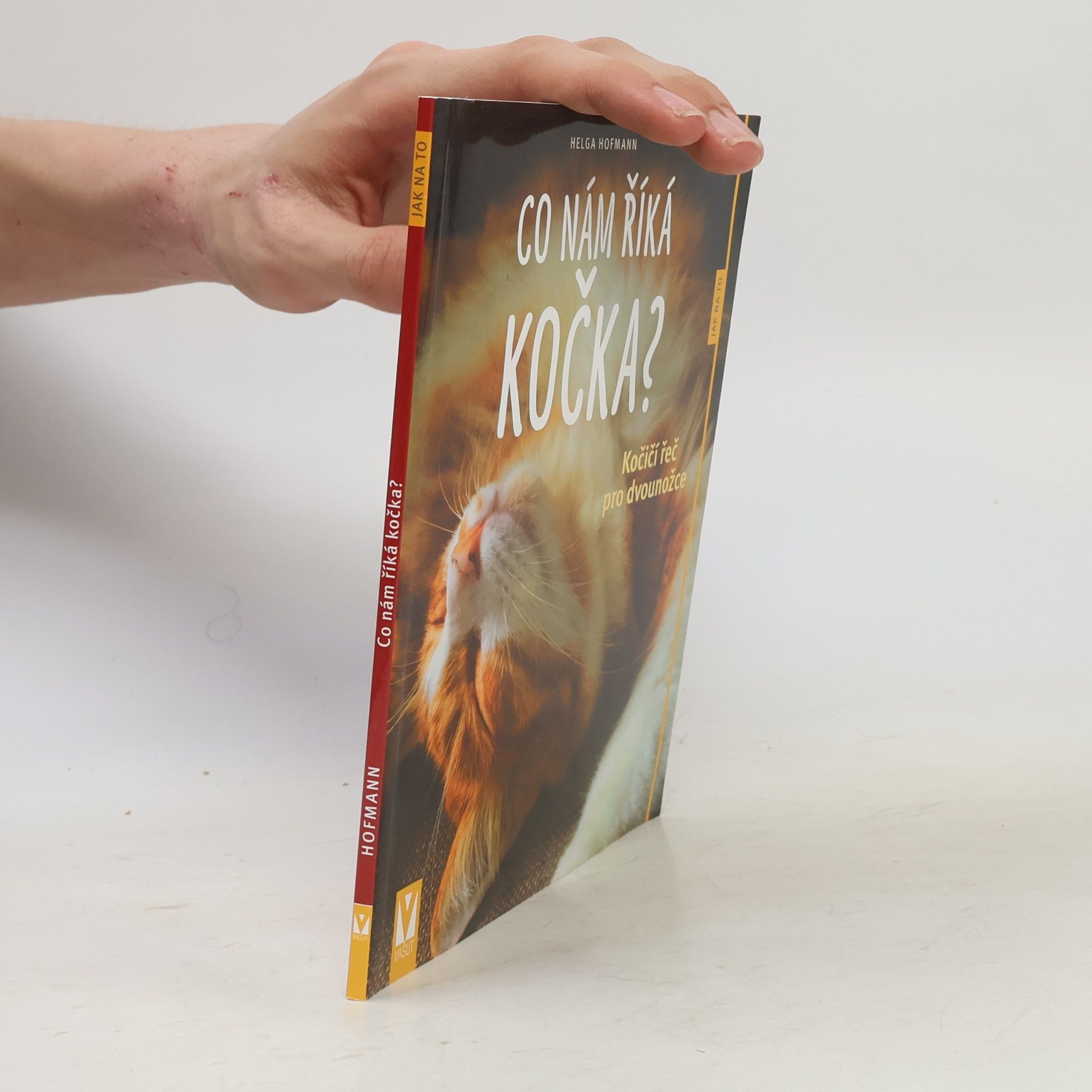 Michaela Váňová Co nám říká kočka?