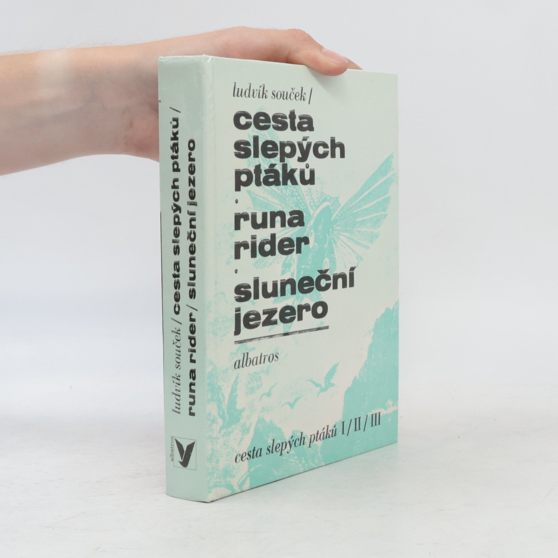 Ludvík Souček Cesta slepých ptáků. Runa rider. Sluneční jezero