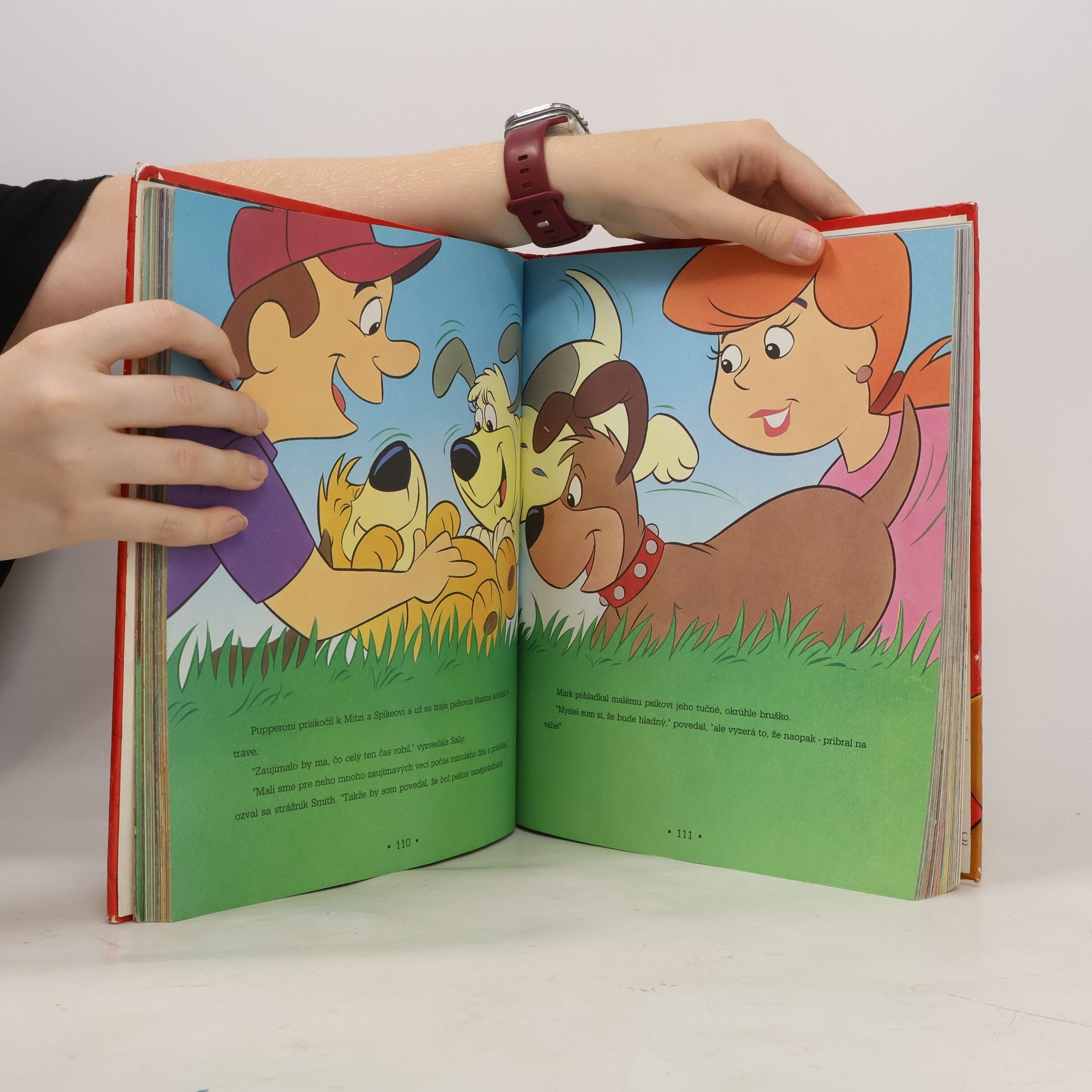 Collectif d'auteurs Zbierka kreslených rozprávok. 1. zväzok