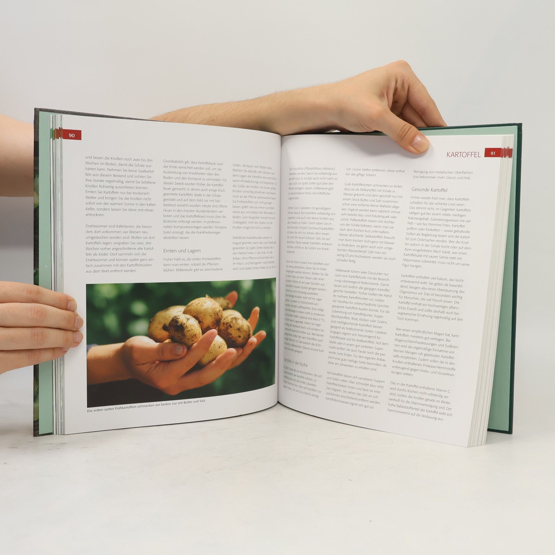 Karen Meyer-Rebentisch Das Gemüsebuch