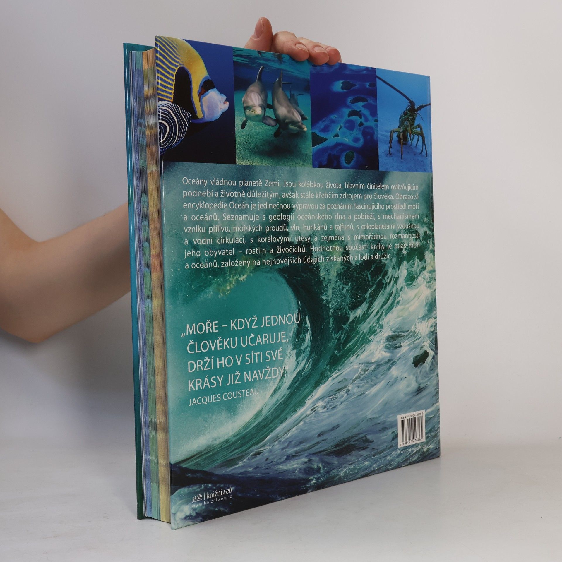 Fabien Cousteau Oceán: Poslední divočina světa