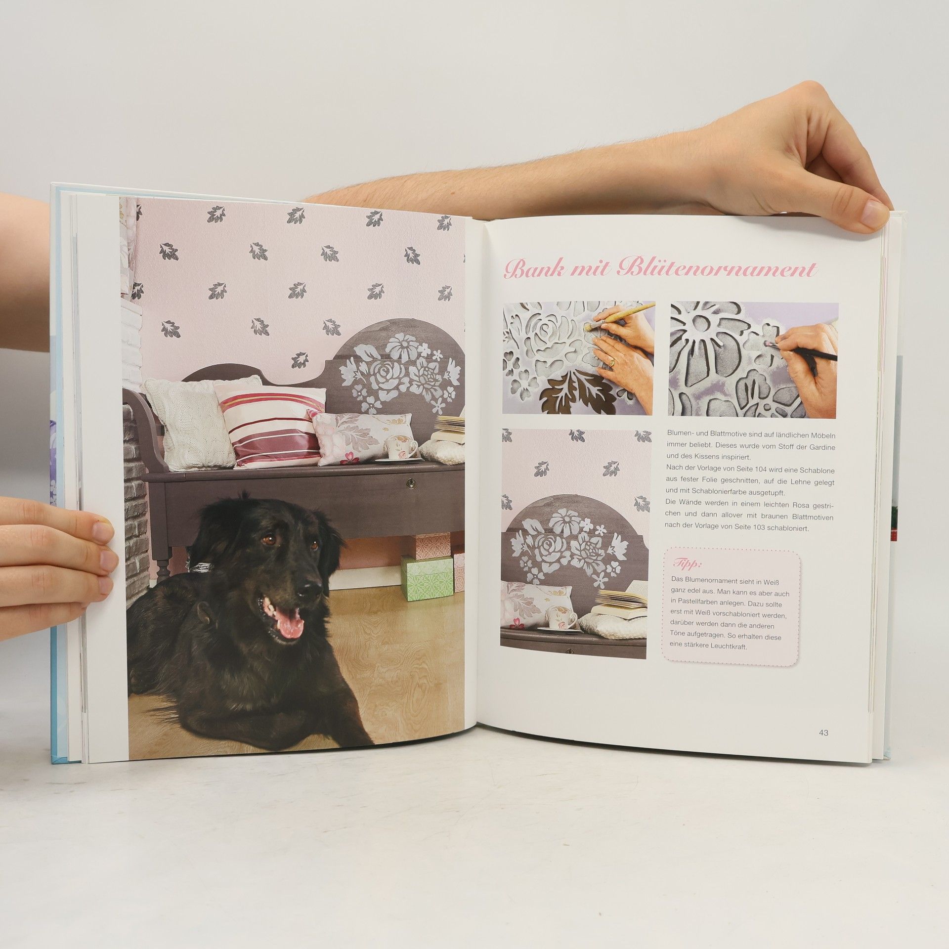 Ines Heim Creative at home
