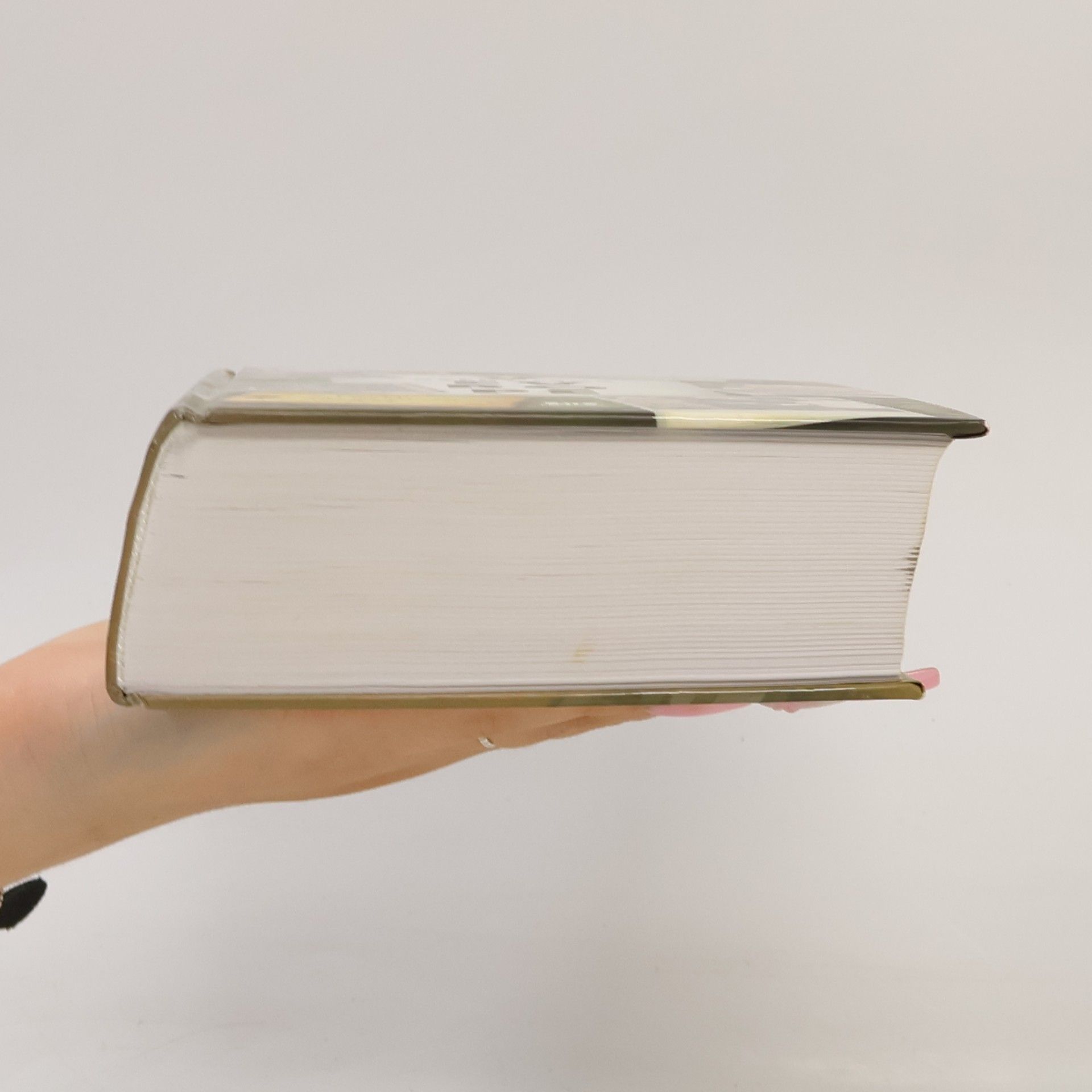 Geert Mak V Evropě : cesty po dvacátém století