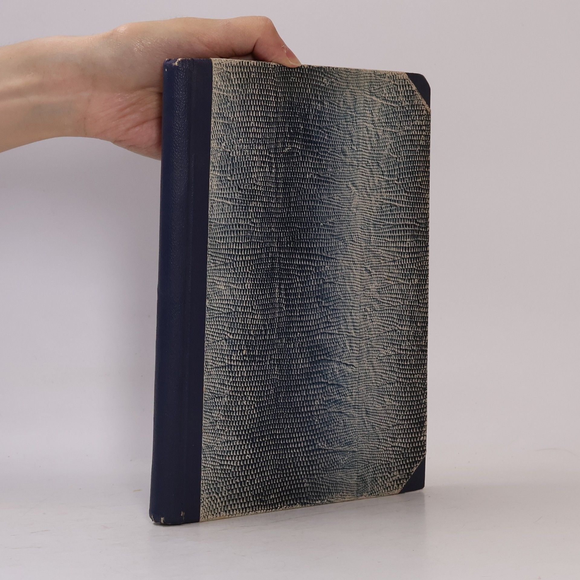 Antonín Hetmánek Přehled dějin české literatury