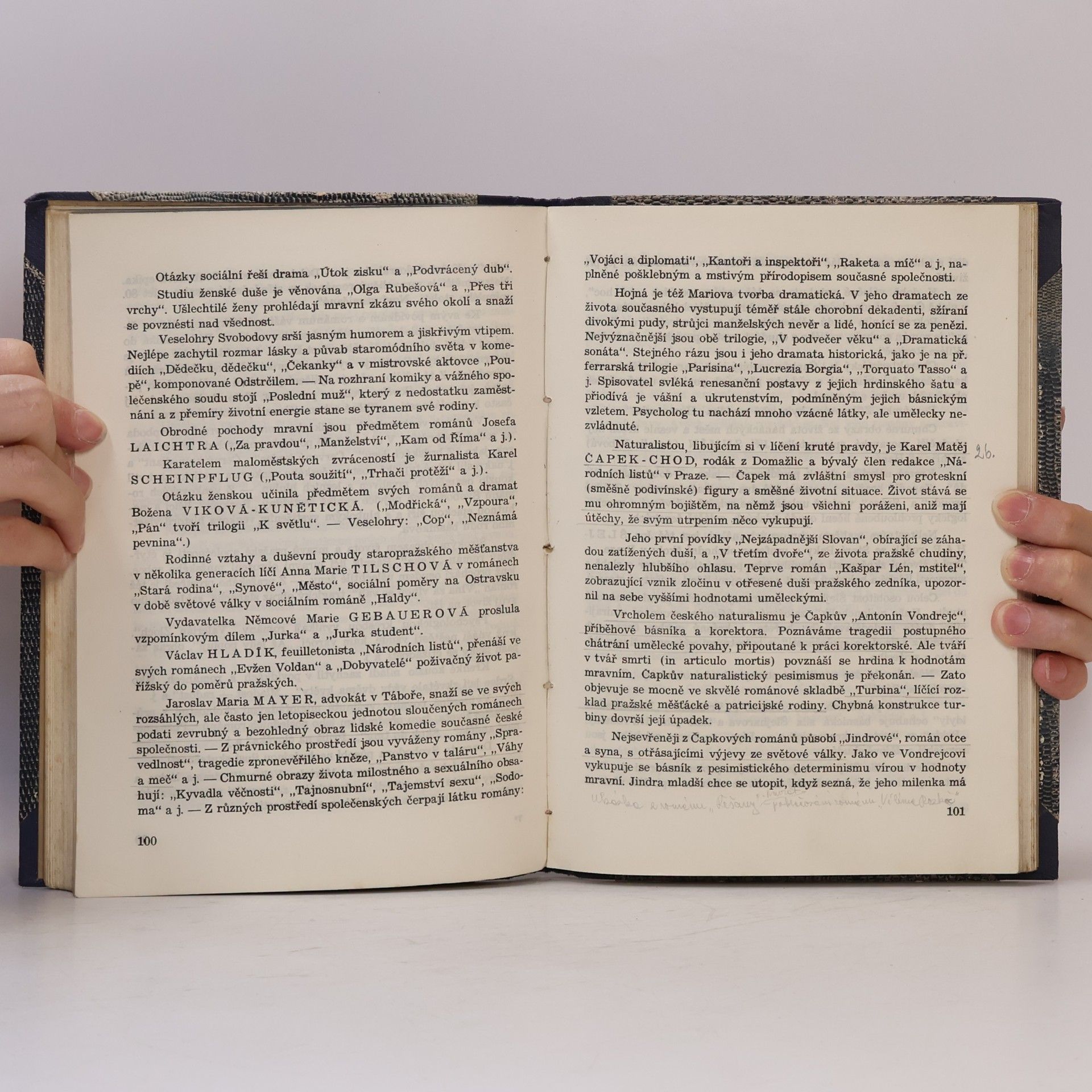 Antonín Hetmánek Přehled dějin české literatury