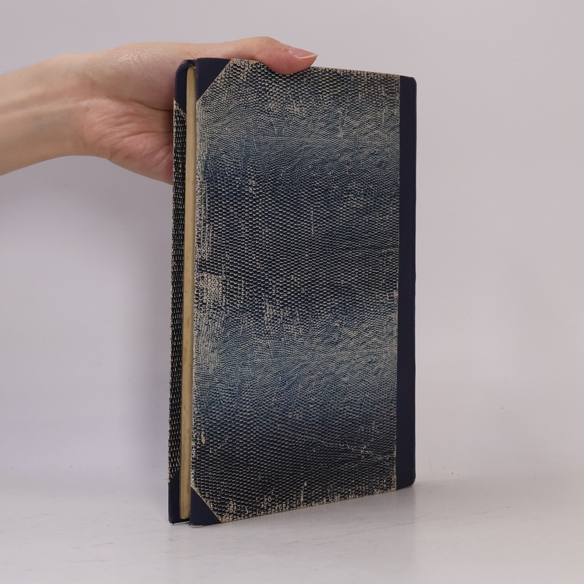 Antonín Hetmánek Přehled dějin české literatury