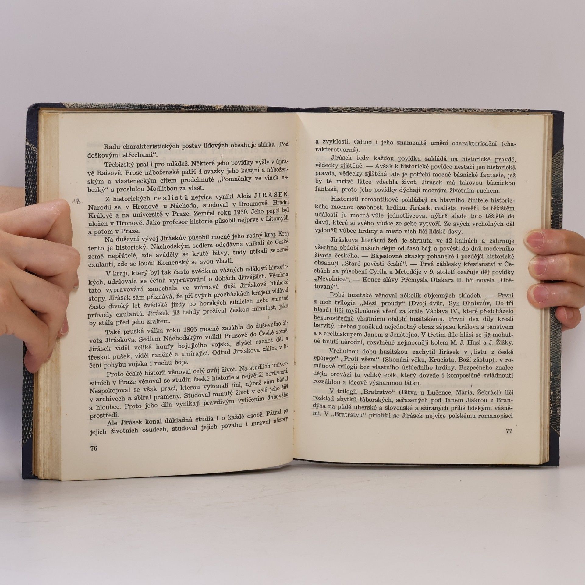 Antonín Hetmánek Přehled dějin české literatury