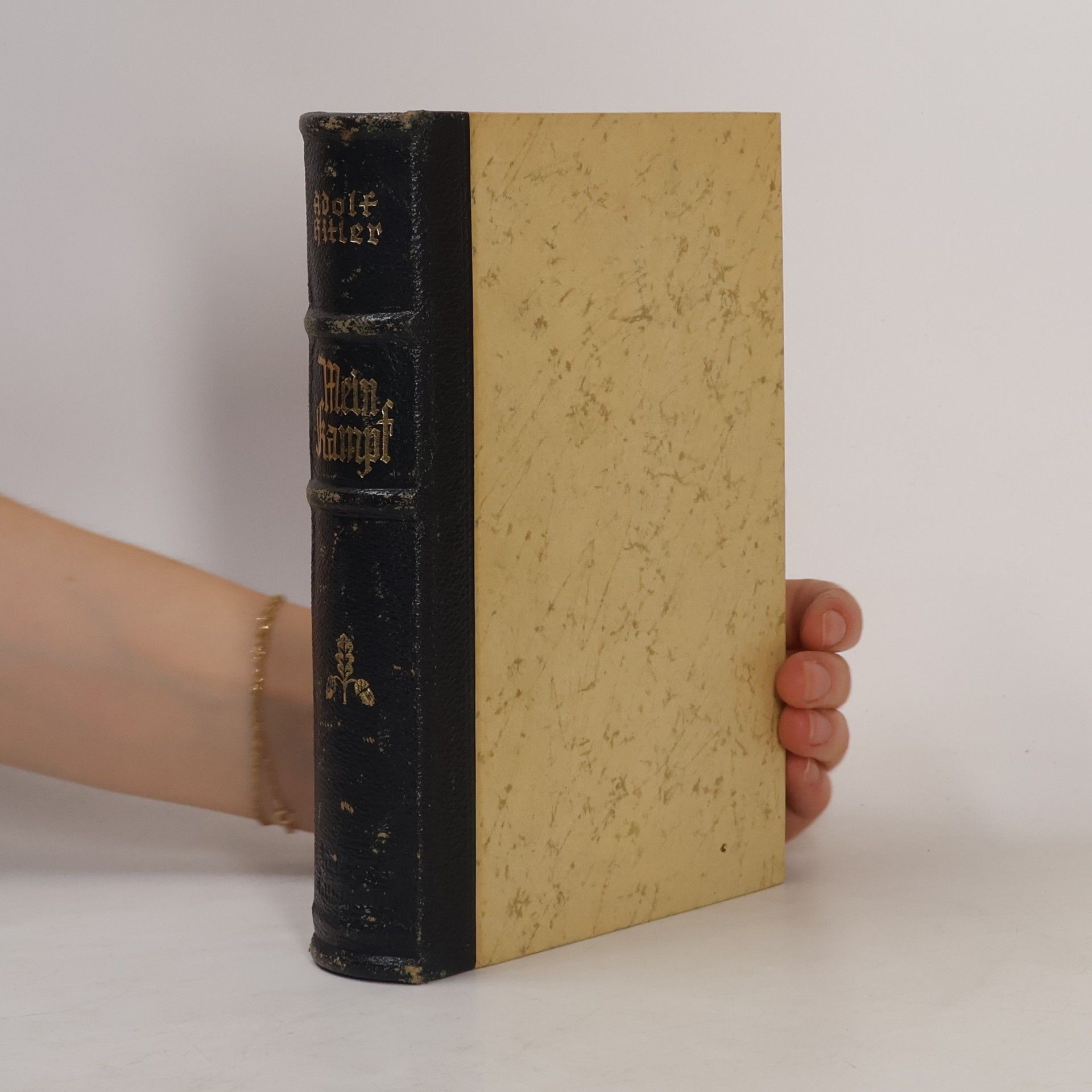 Adolf Hitler Mein Kampf