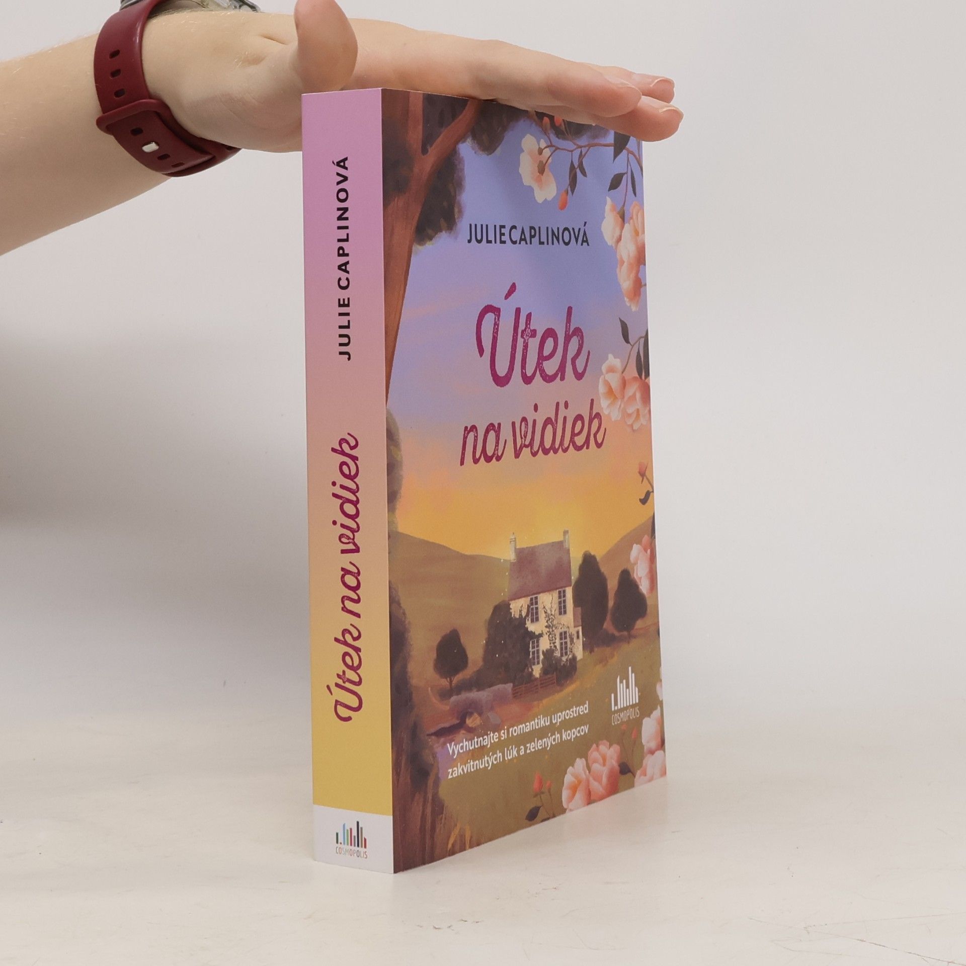 Julie Caplin Útek na vidiek