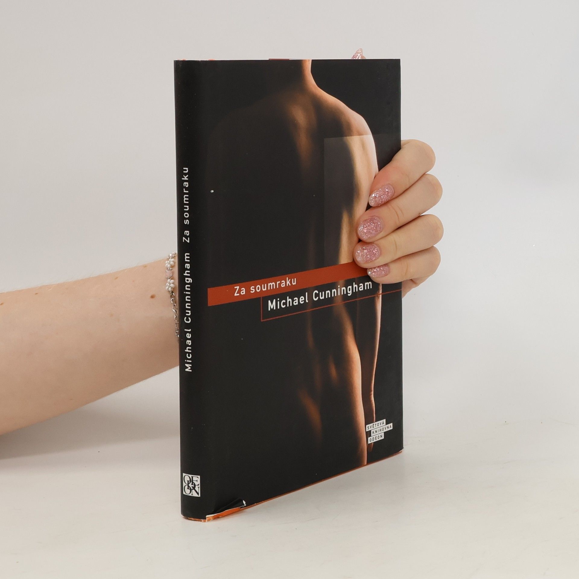 Michael Cunningham Za soumraku