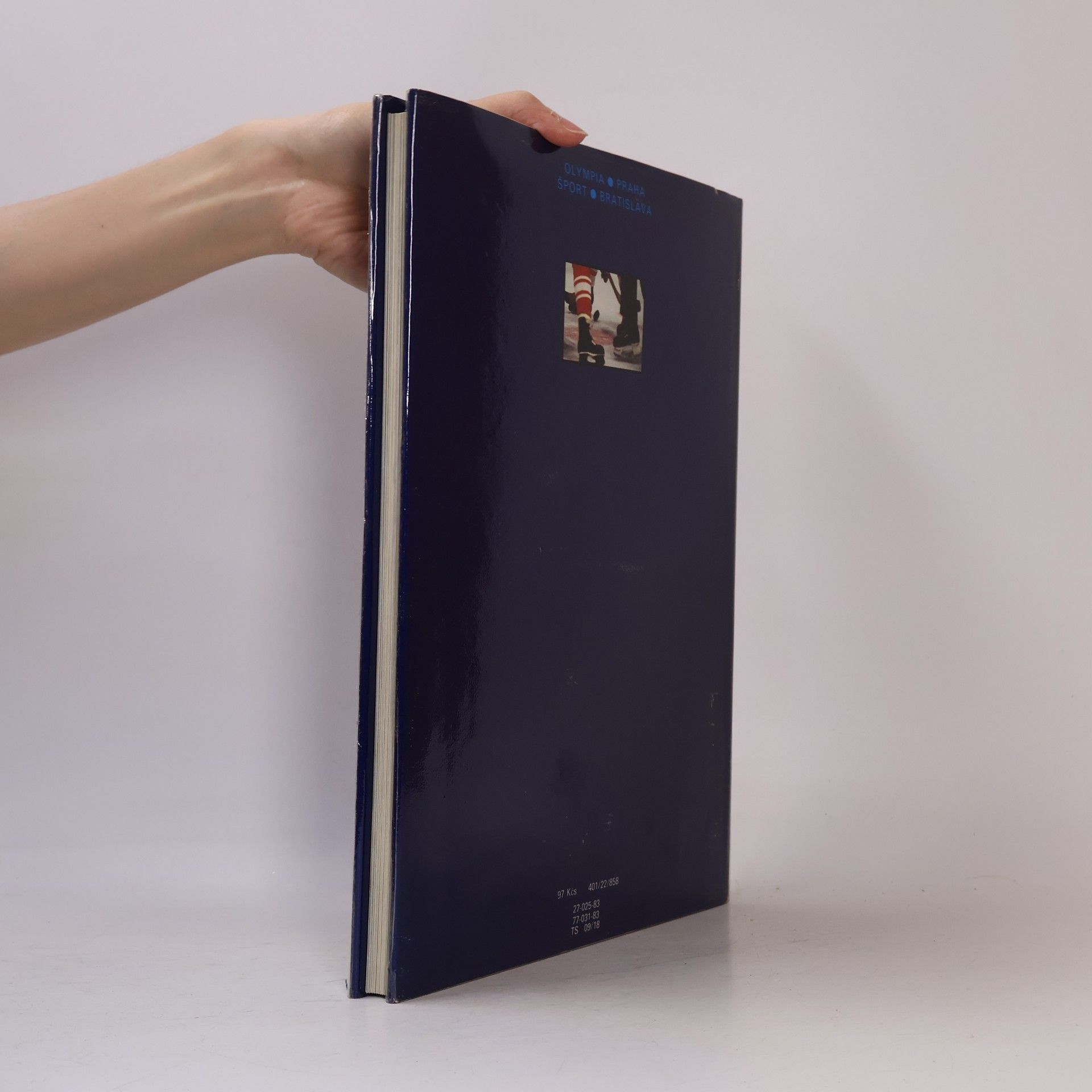 Autores varios Náš hokej