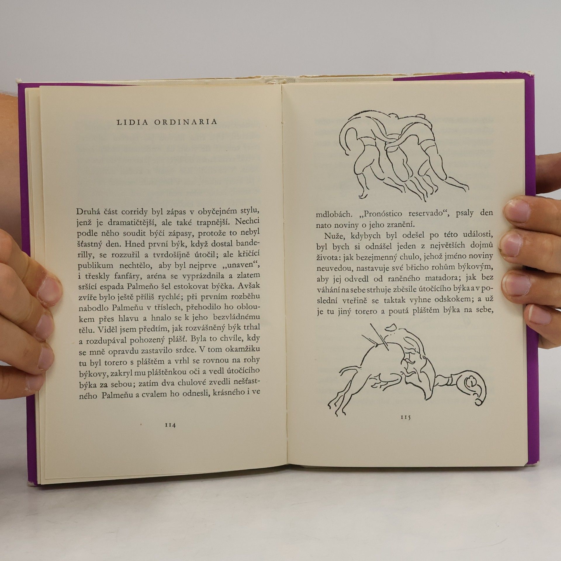 Karel Čapek Výlet do Španěl