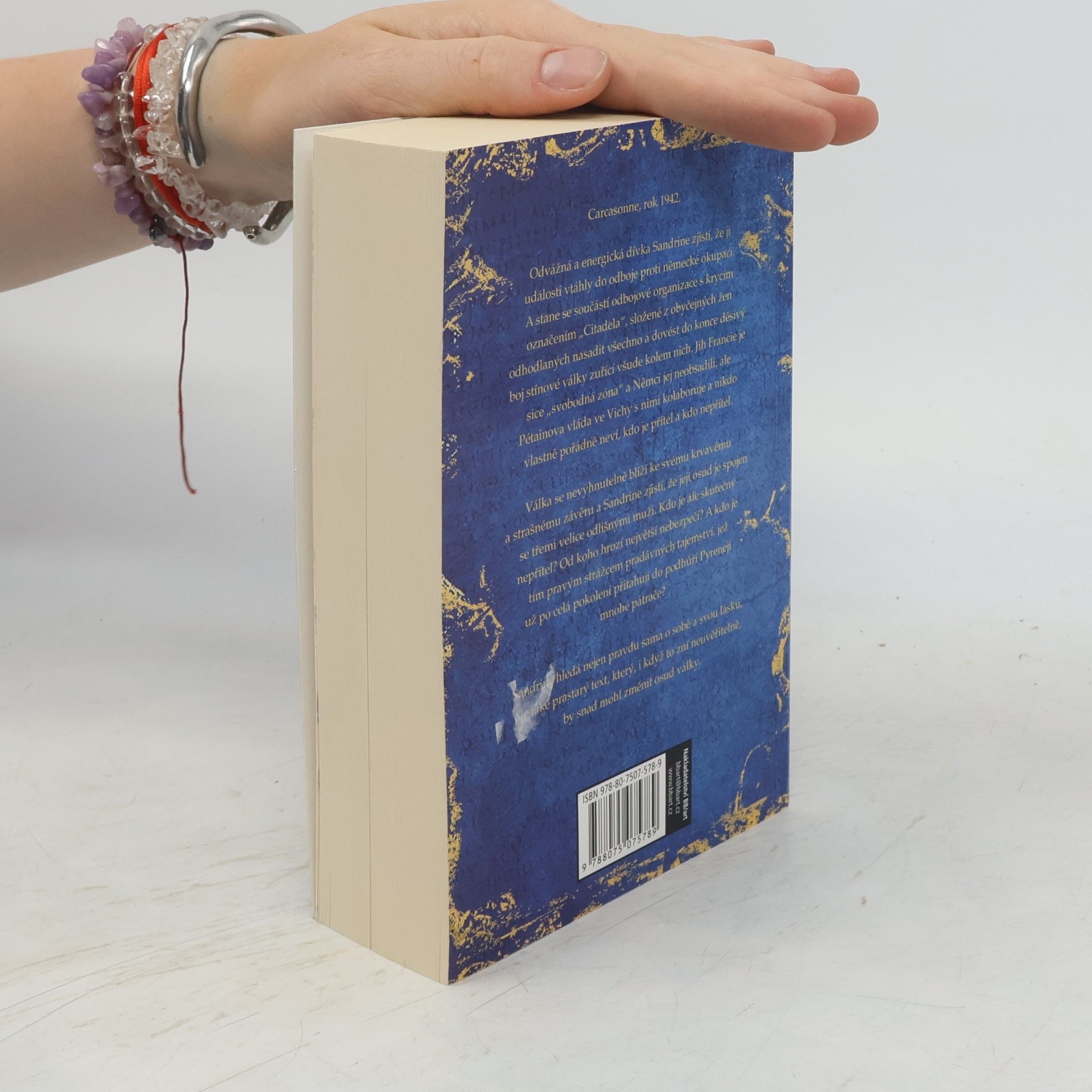 Kate Mosse Citadela