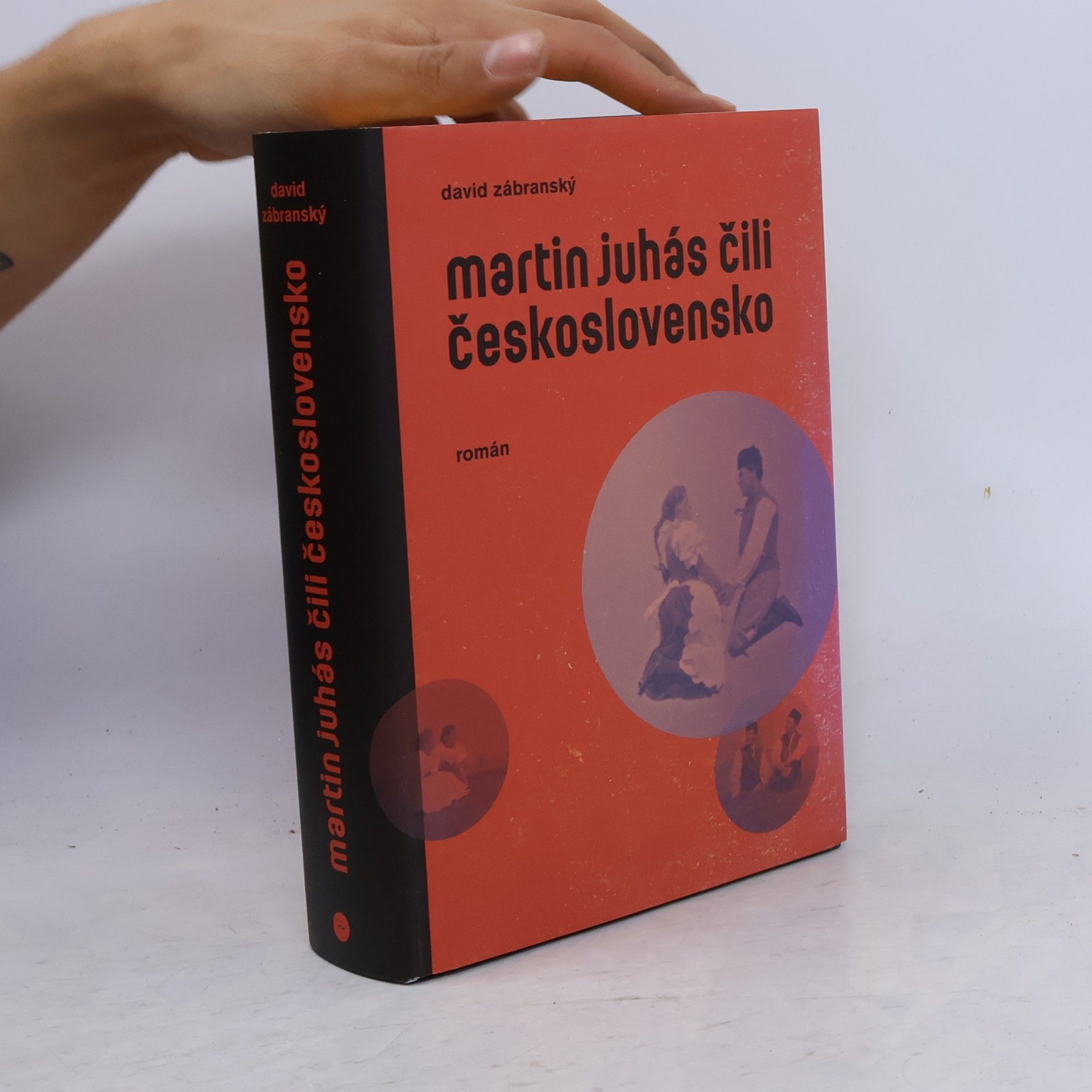 David Zábranský Martin Juhás, čili, Československo : román