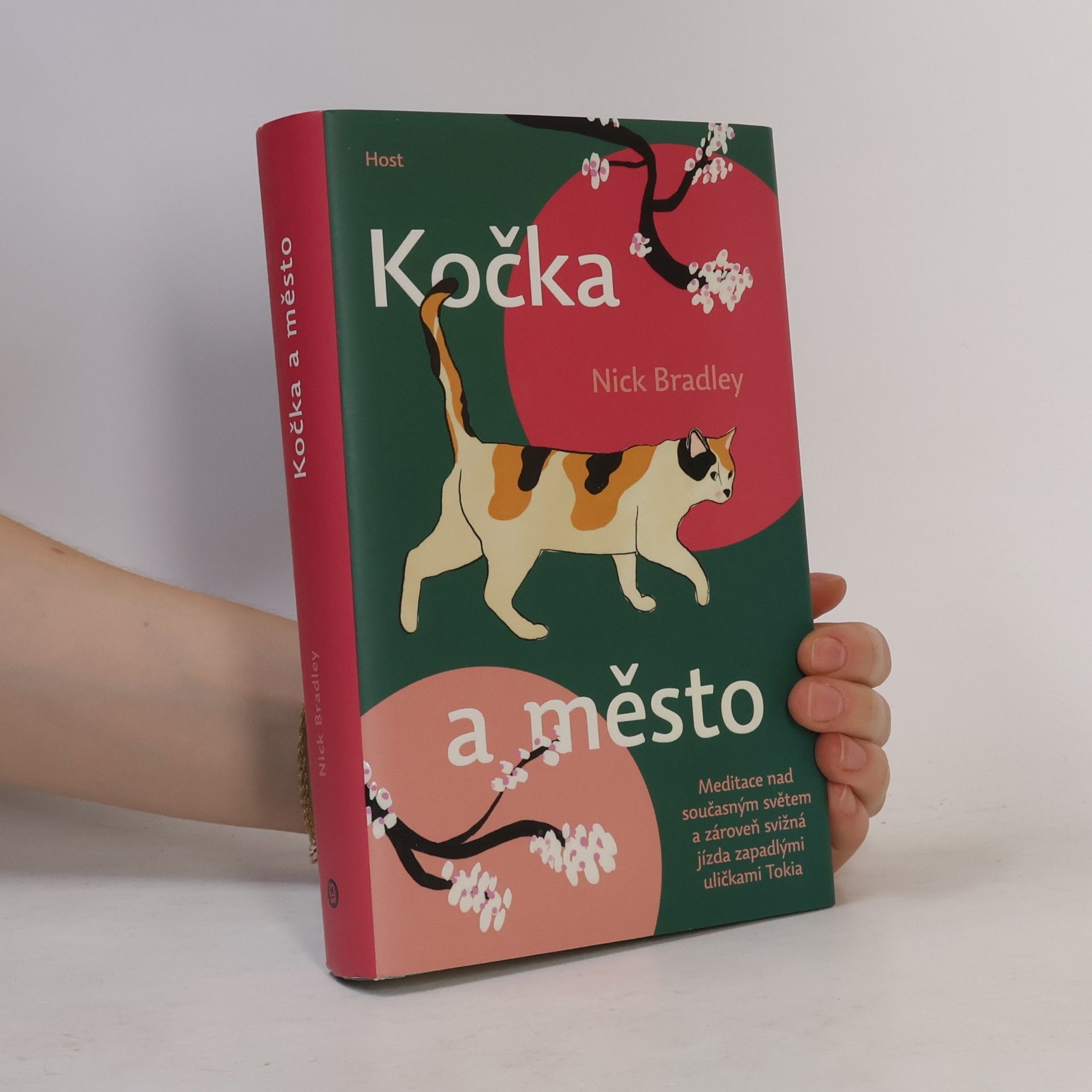 Nick Bradley Kočka a město