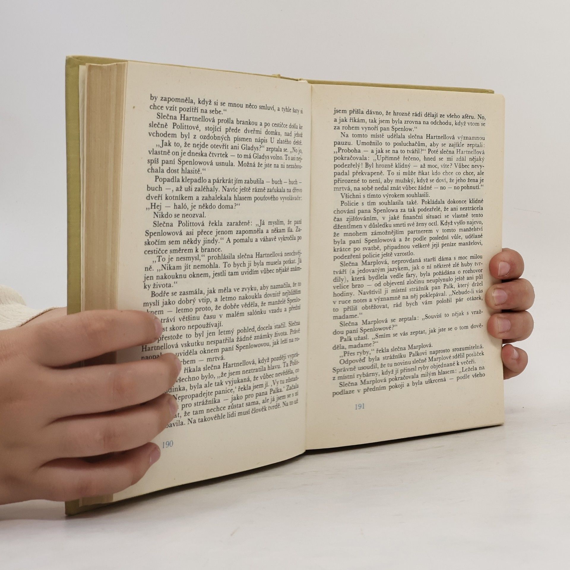 Agatha Christie Muž v mlze