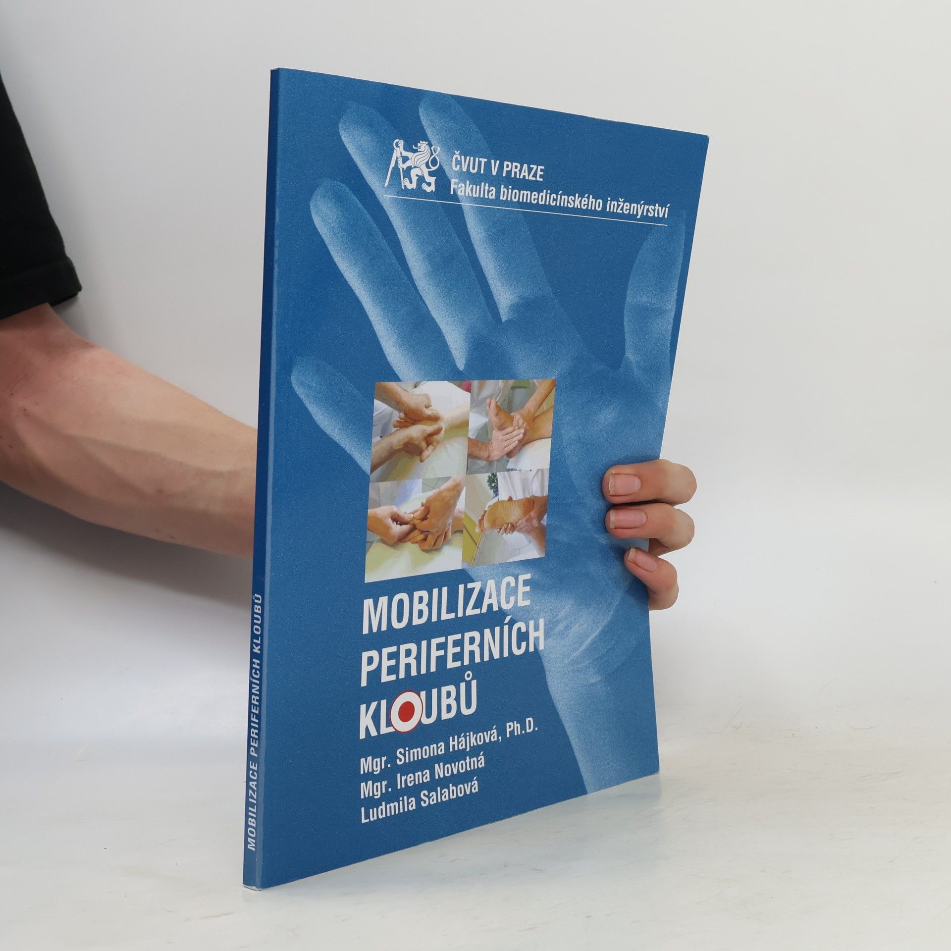 Kolektiv autorů Mobilizace periferních kloubů