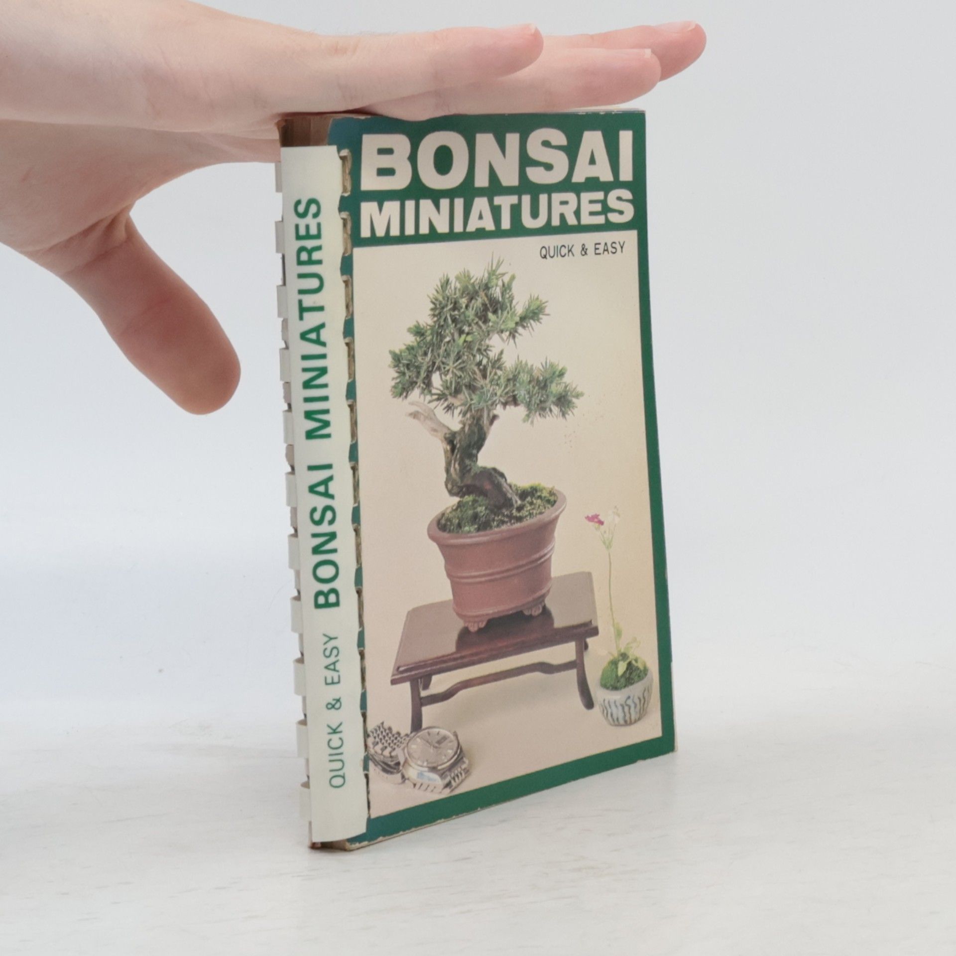 Zekō Nakamura Bonsai Miniatures - Quick and Easy