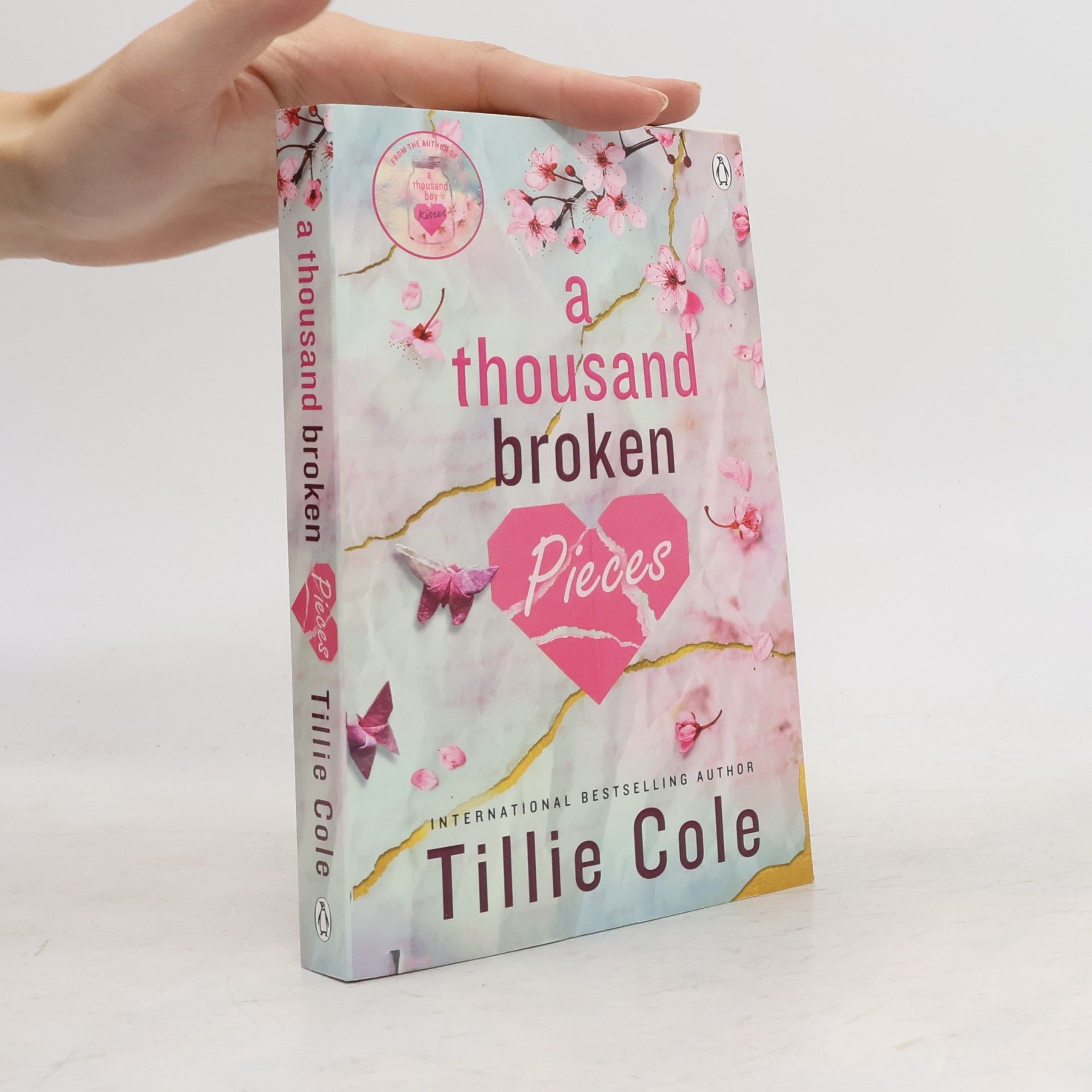 Tillie Cole A Thousand Broken Pieces