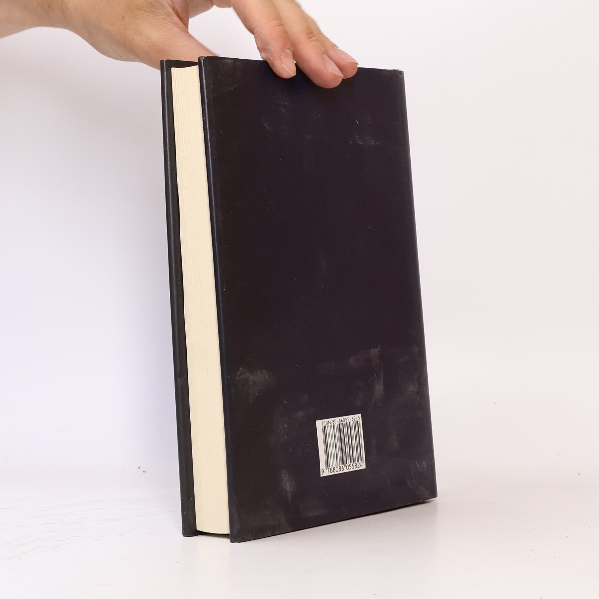 Roman Ludva Jezdci pod slunečníkem