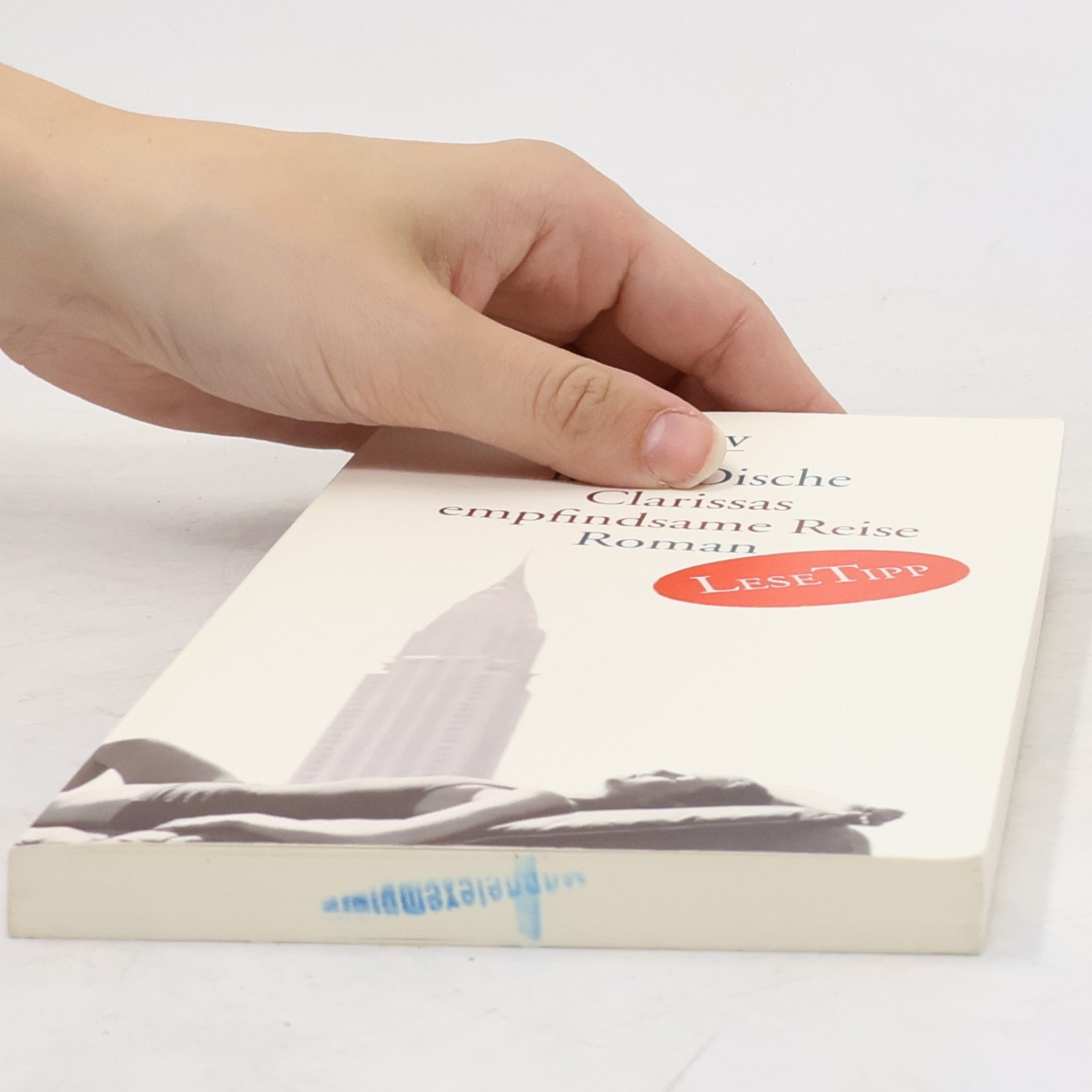 Irene Dische Clarissas empfindsame Reise