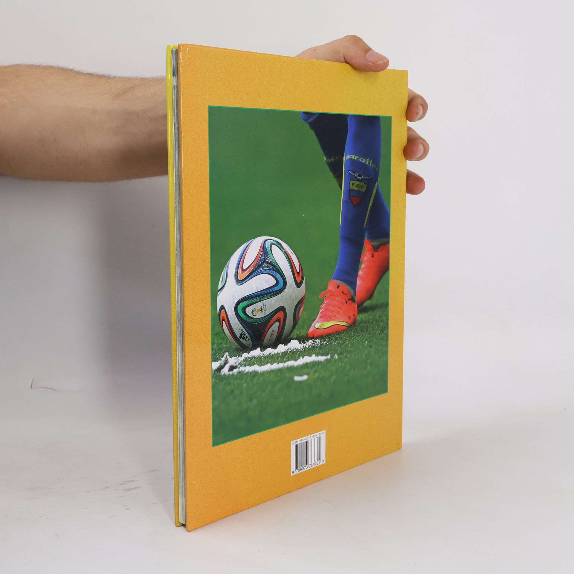 Autorenkollektiv Brasil 2014 - XX. Mistrovství světa ve fotbale