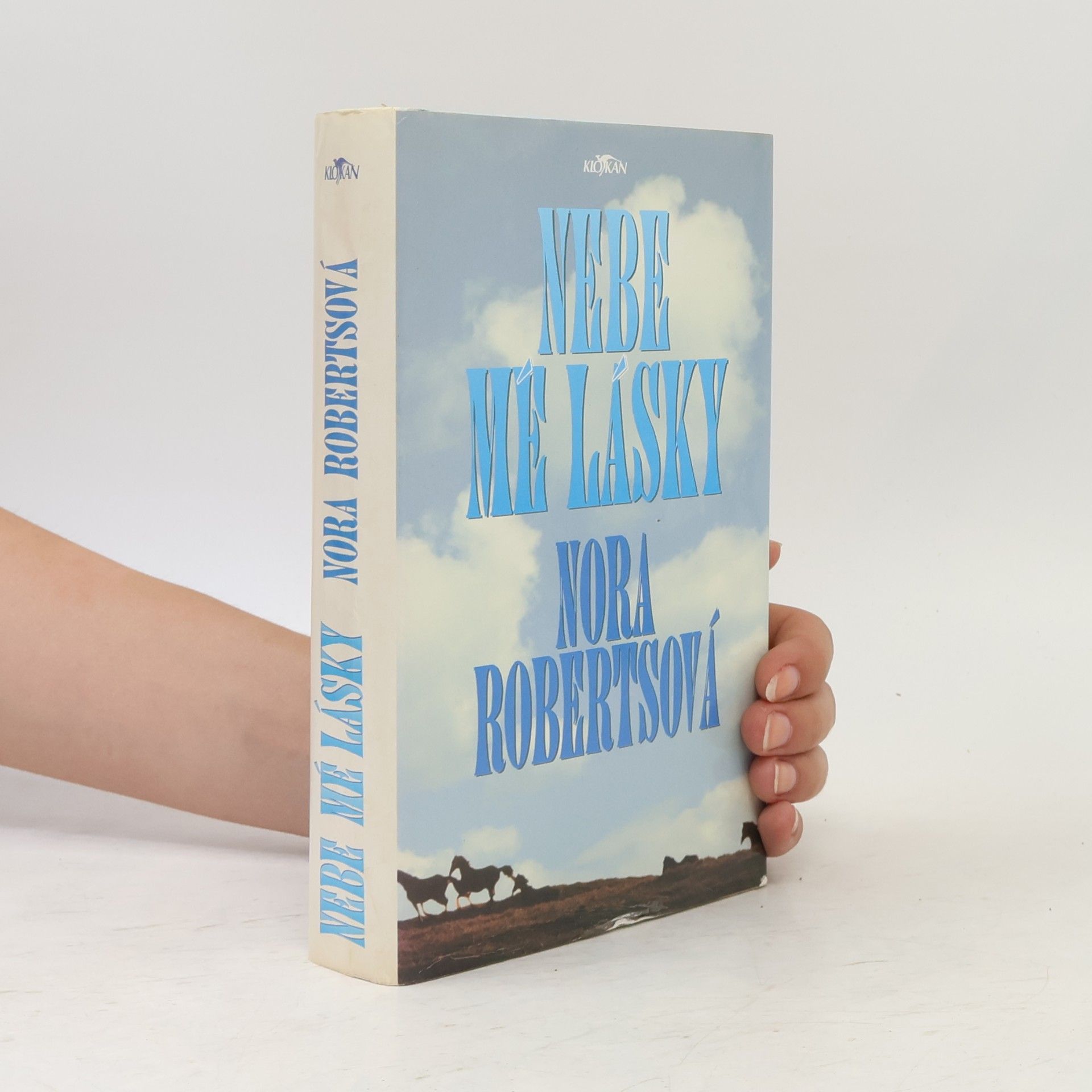 Nora Roberts Nebe mé lásky