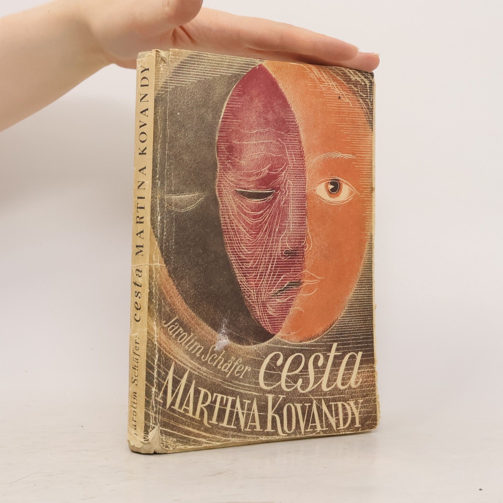 Cesta Martina Kovandy